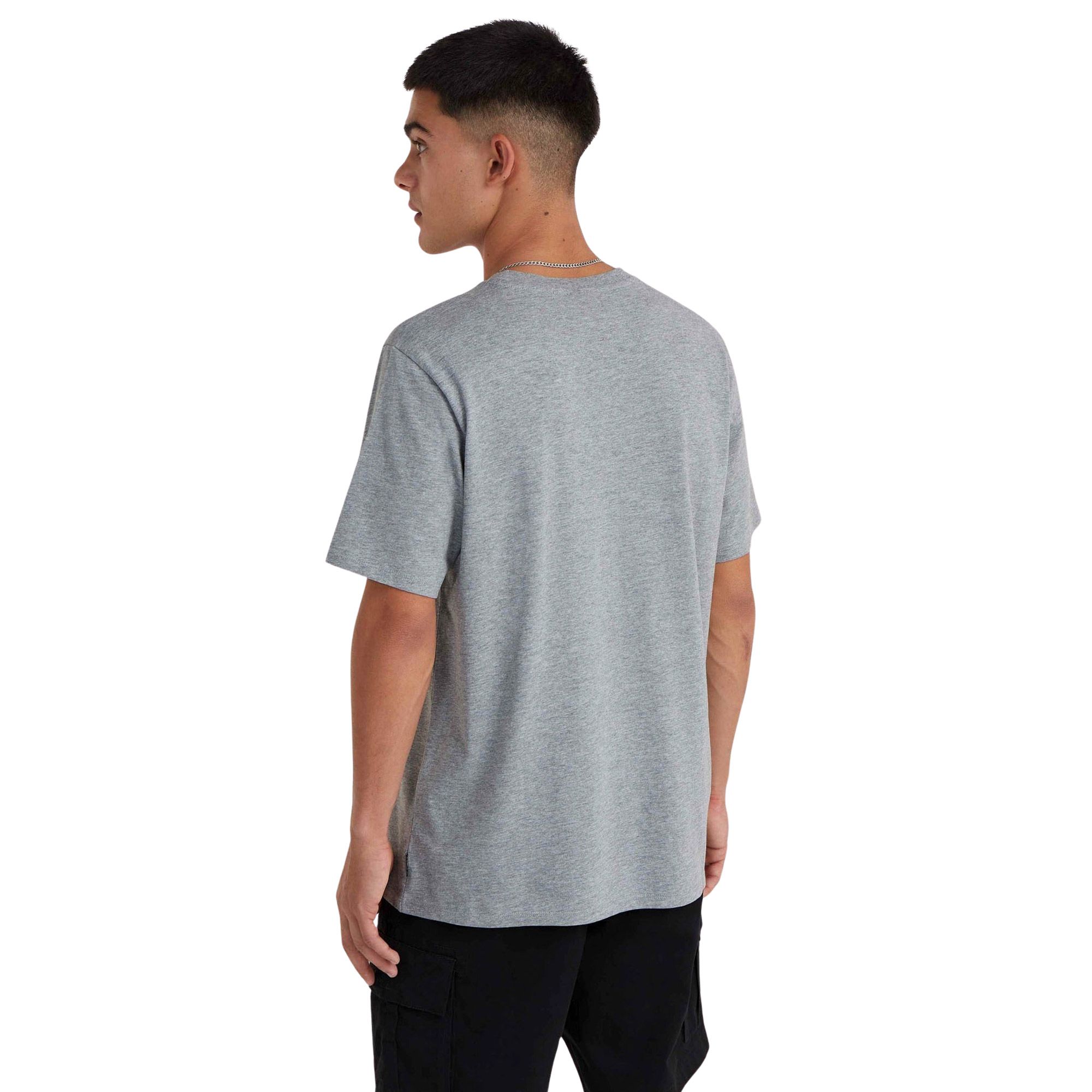 O'Neill Small Logo Shirt Heren