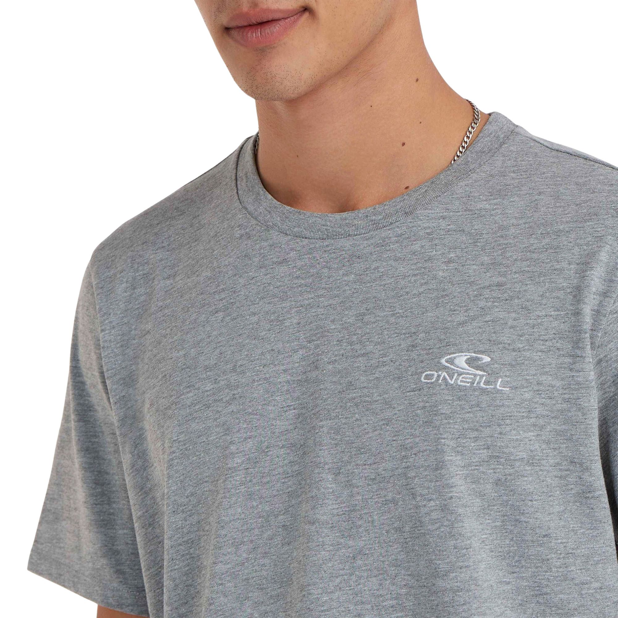 O'Neill Small Logo Shirt Heren