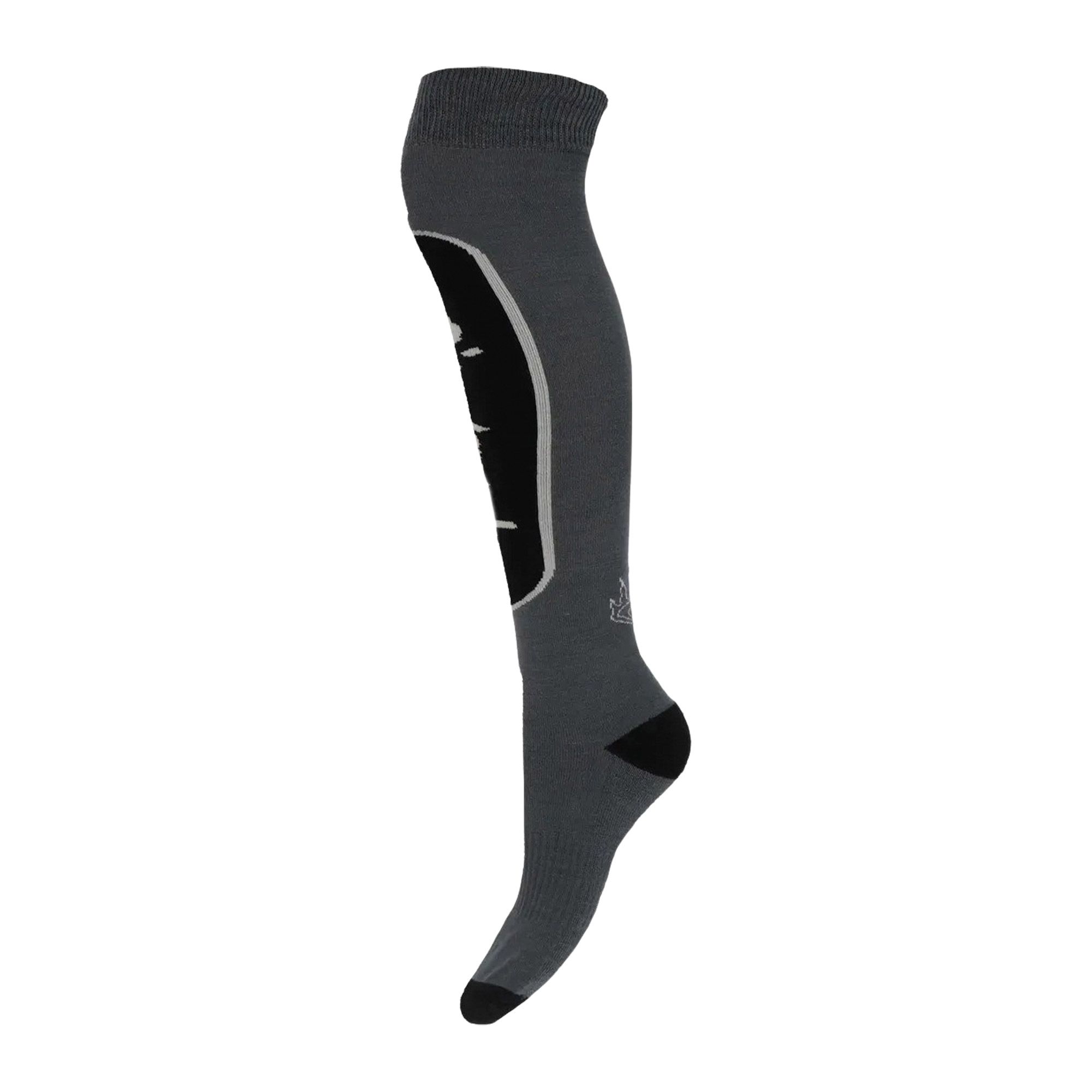 O'Neill Logo Skisokken (2-pack)