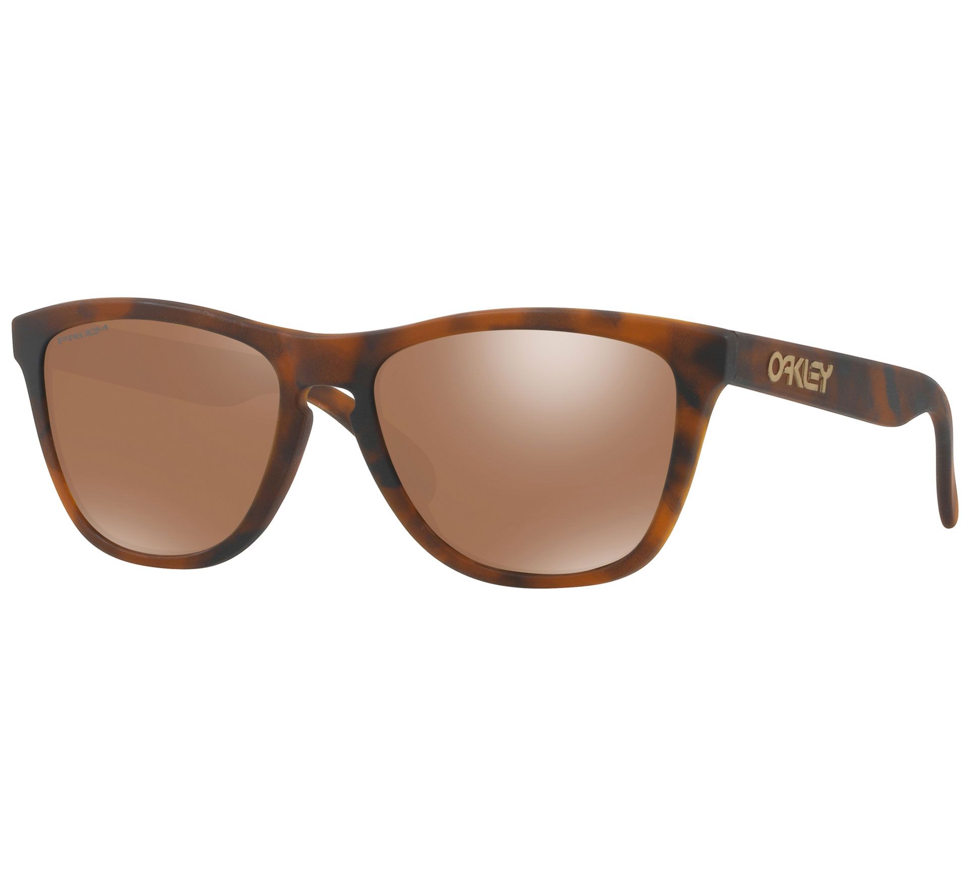 Oakley Frogskins Lifestyle