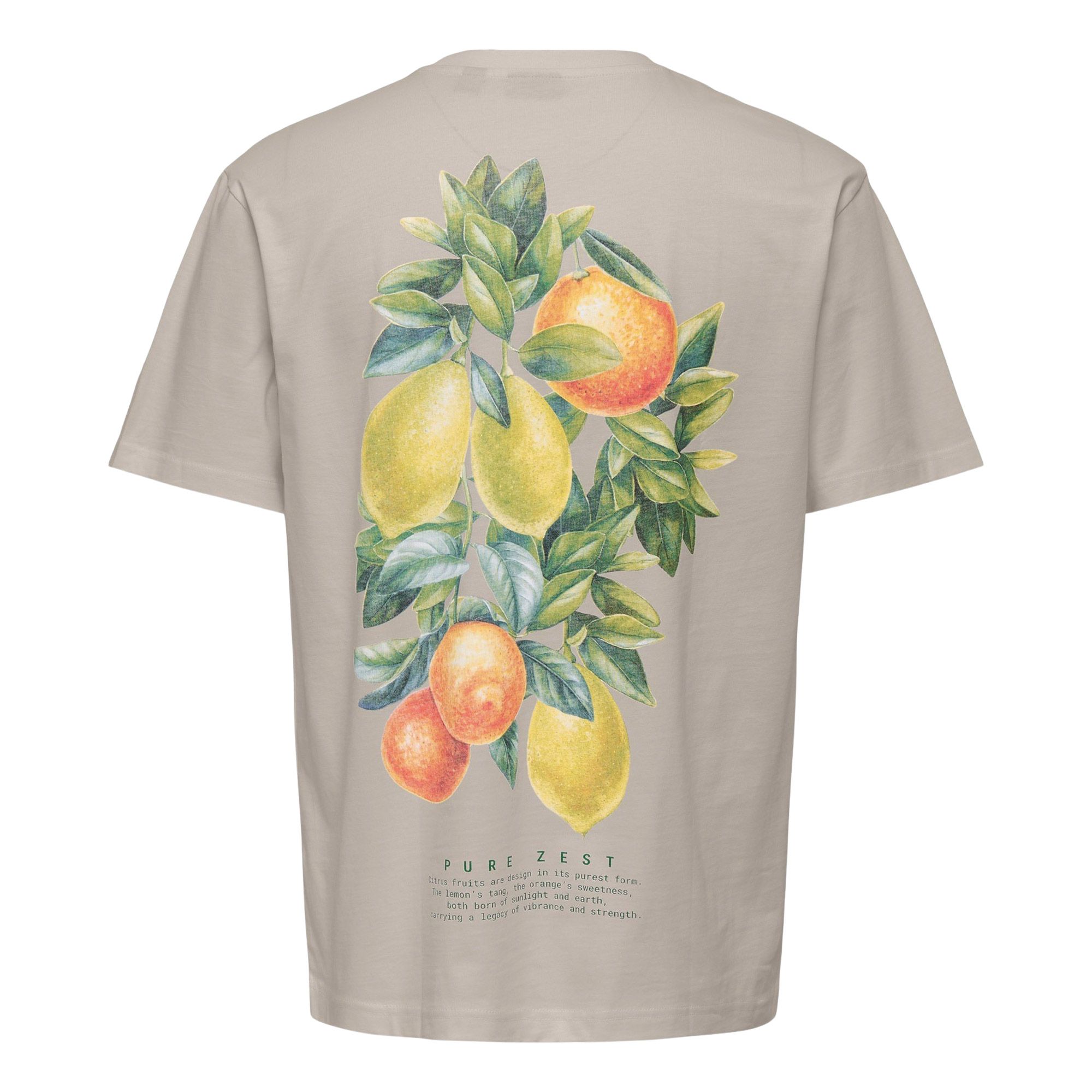 Only & Sons Fred Life Relaxed Print Shirt Heren