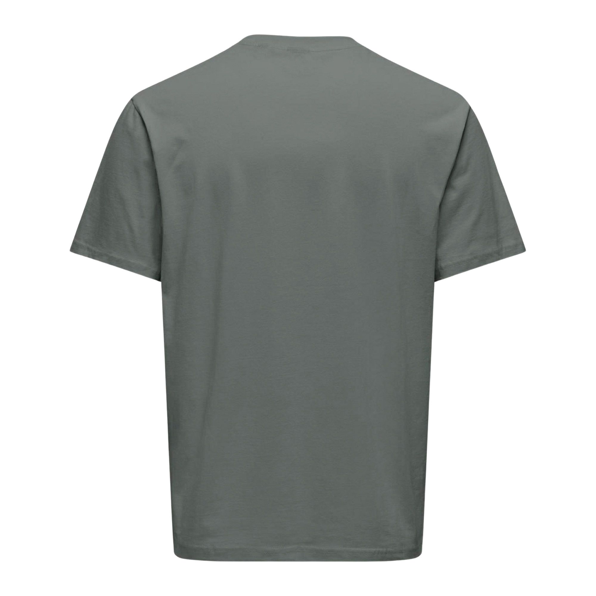 Only & Sons Levi Life Shirt Heren