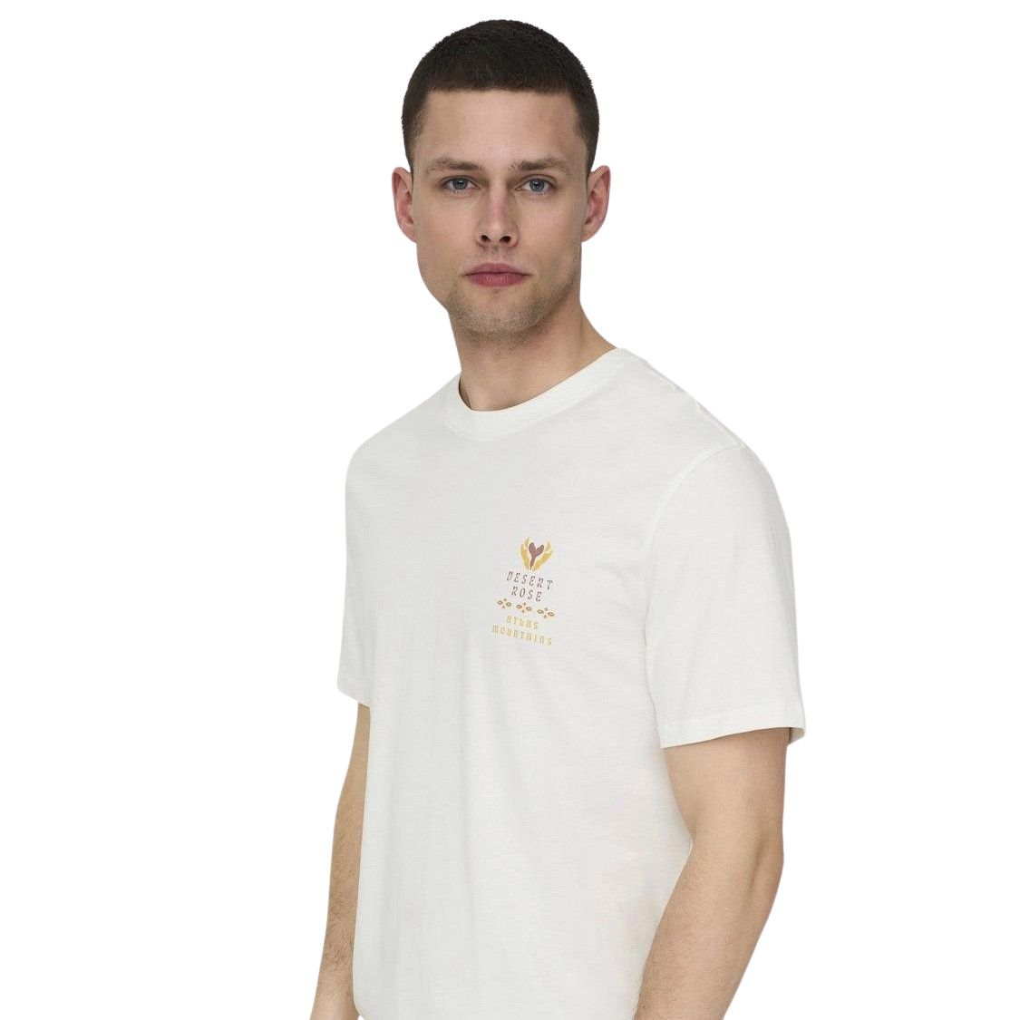 Only & Sons Manuel Life Shirt Heren