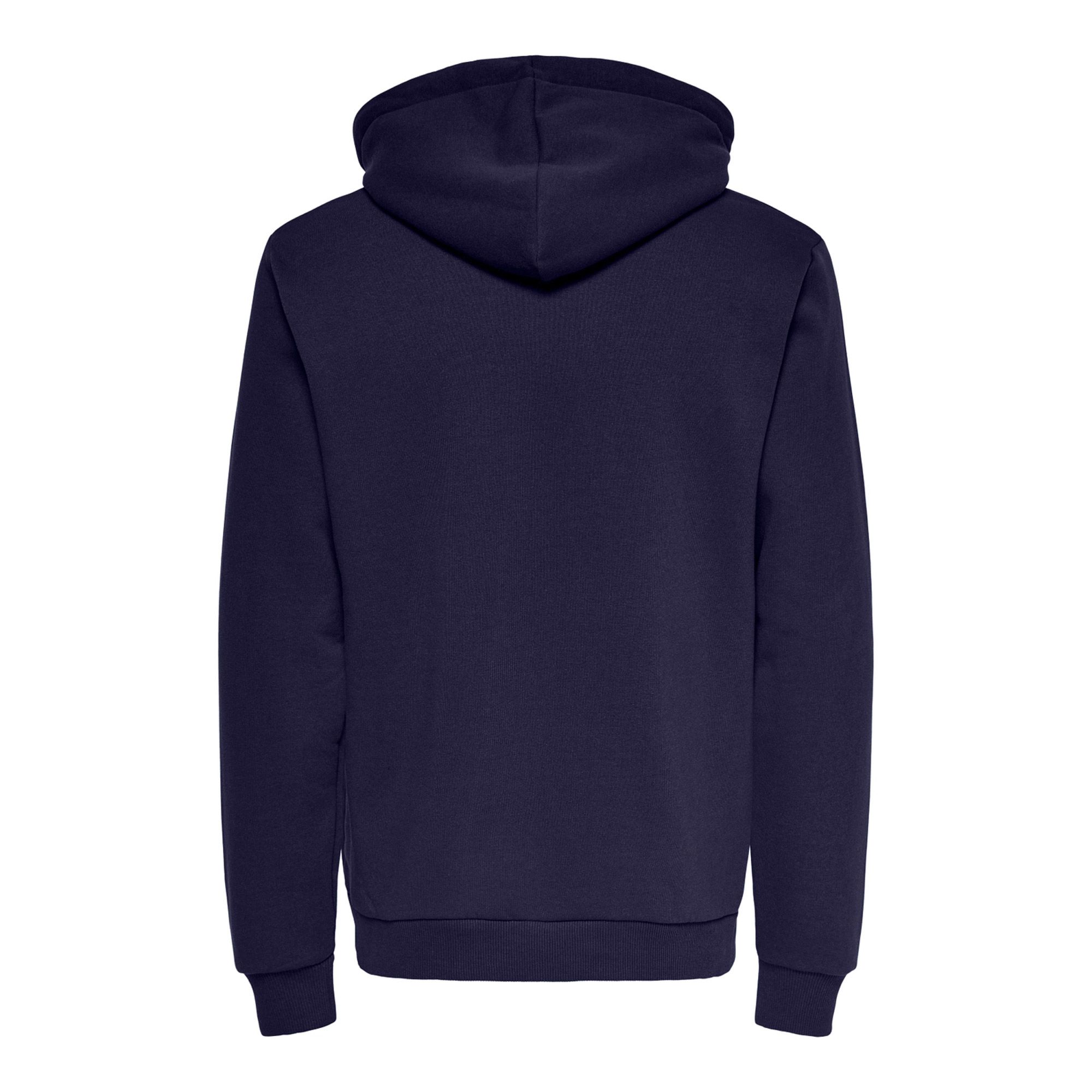 Only & Sons Ceres Life Hoodie Heren
