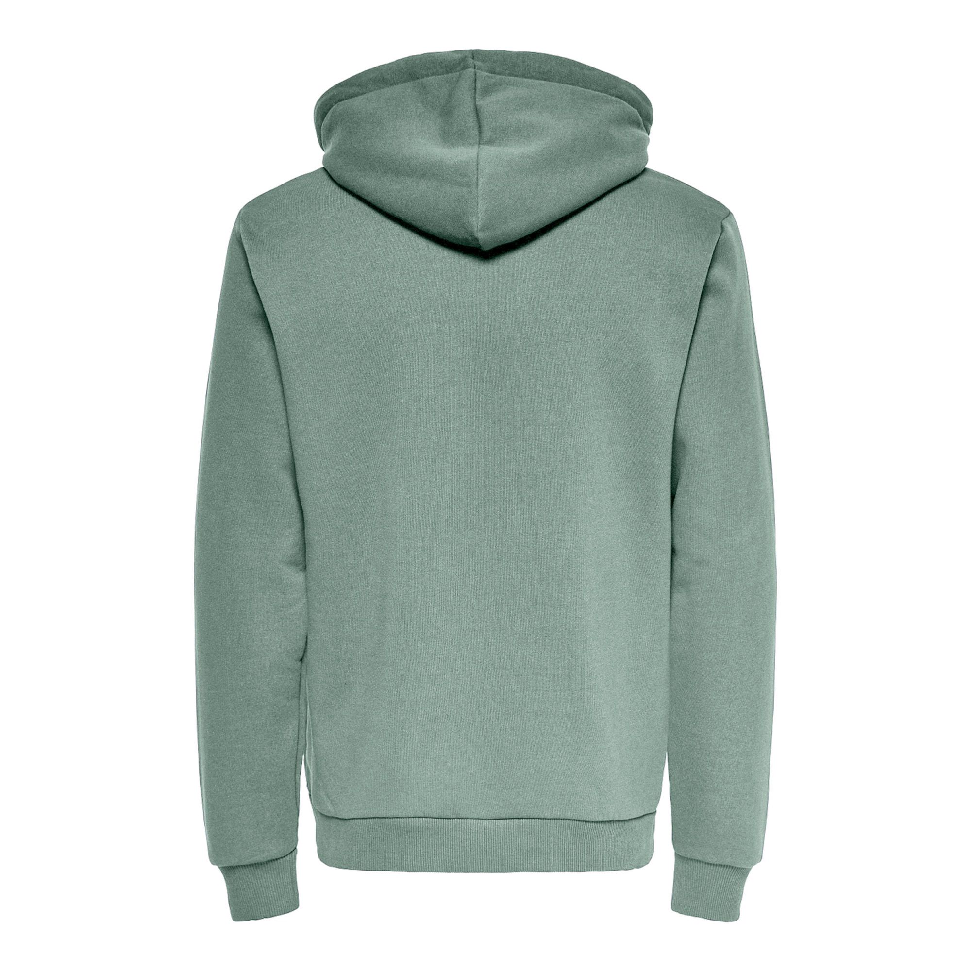 Only & Sons Ceres Life Hoodie Heren