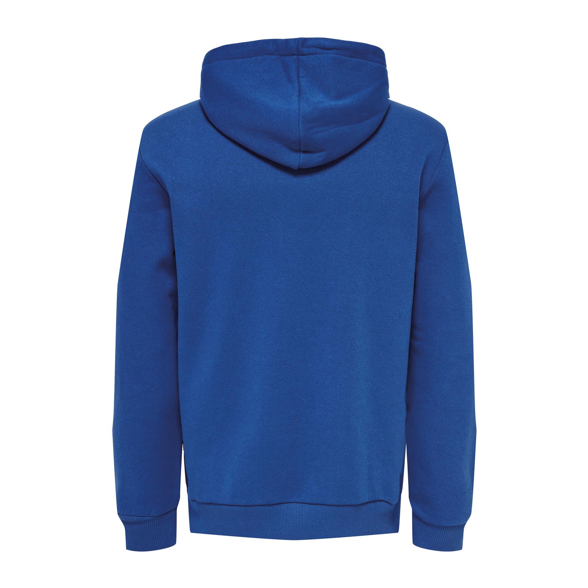 Only & Sons Ceres Life Hoodie Heren