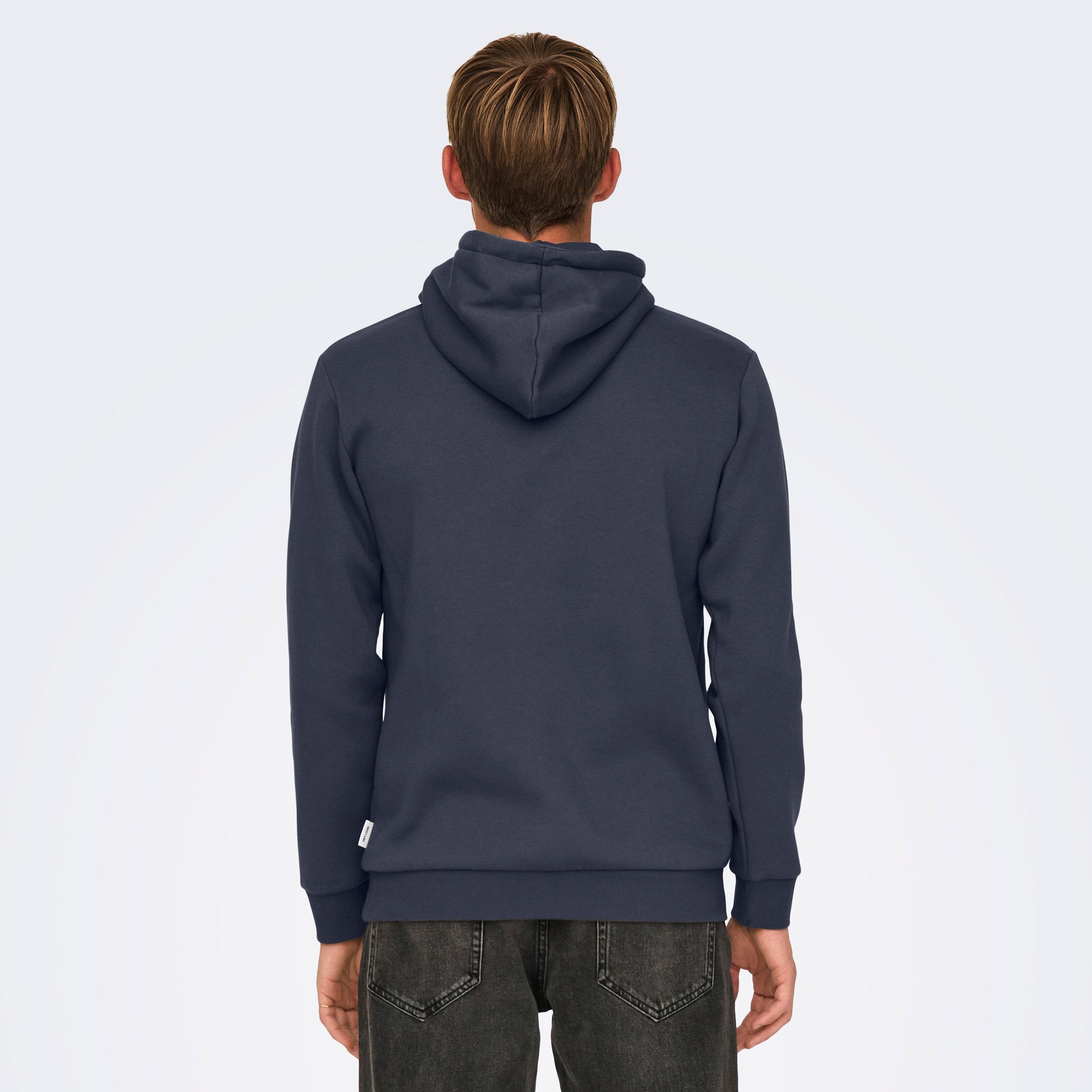 Only & Sons Ceres Life Hoodie Heren
