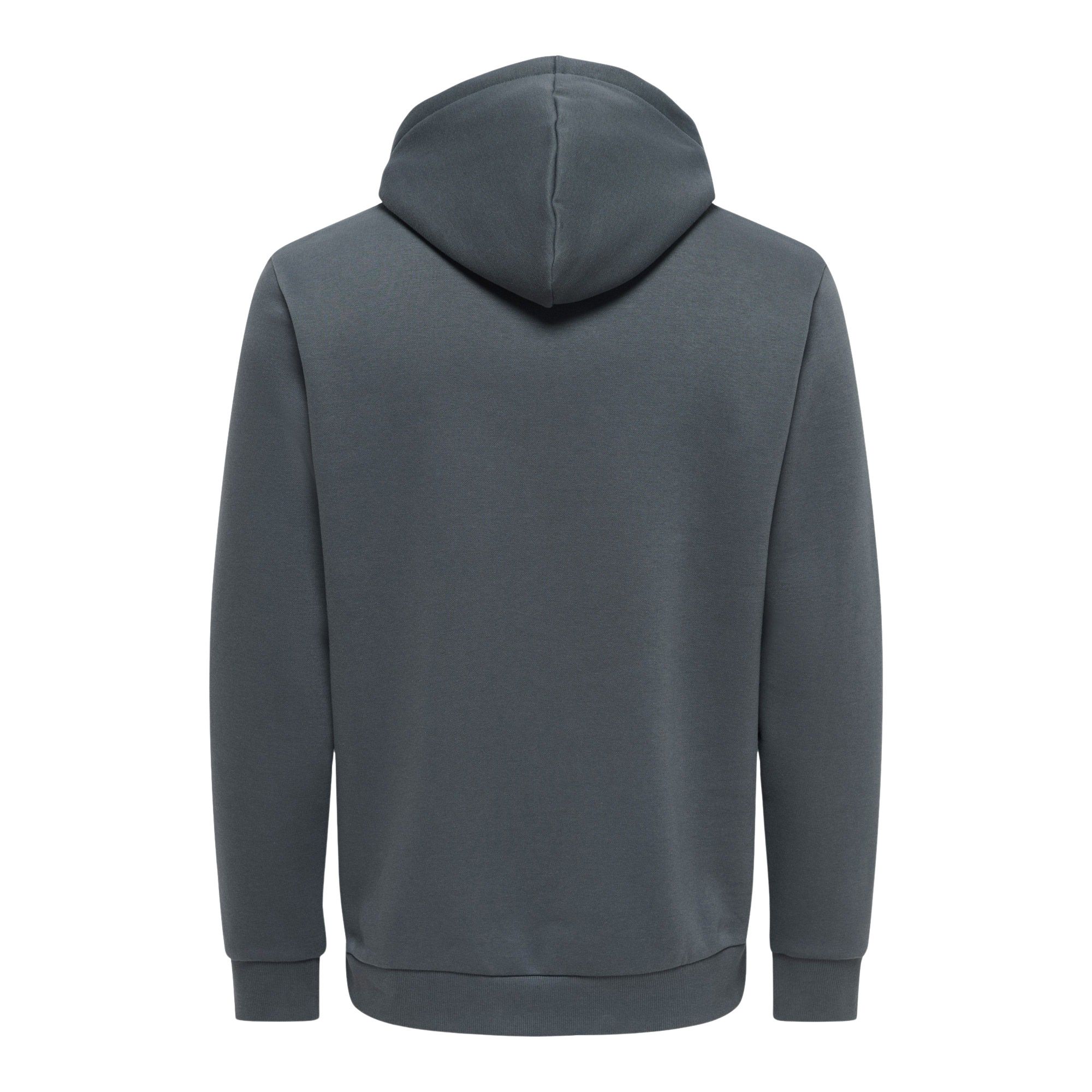 Only & Sons Ceres Life Hoodie Heren
