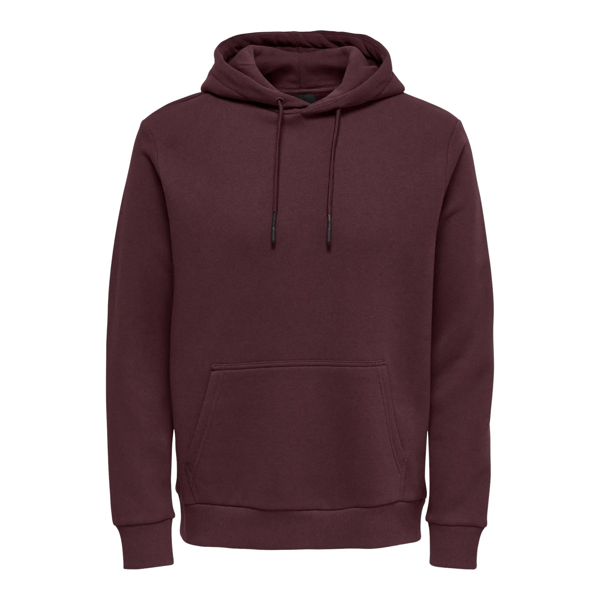 Sweatshirt à capuche Only & Sons Ceres Life
