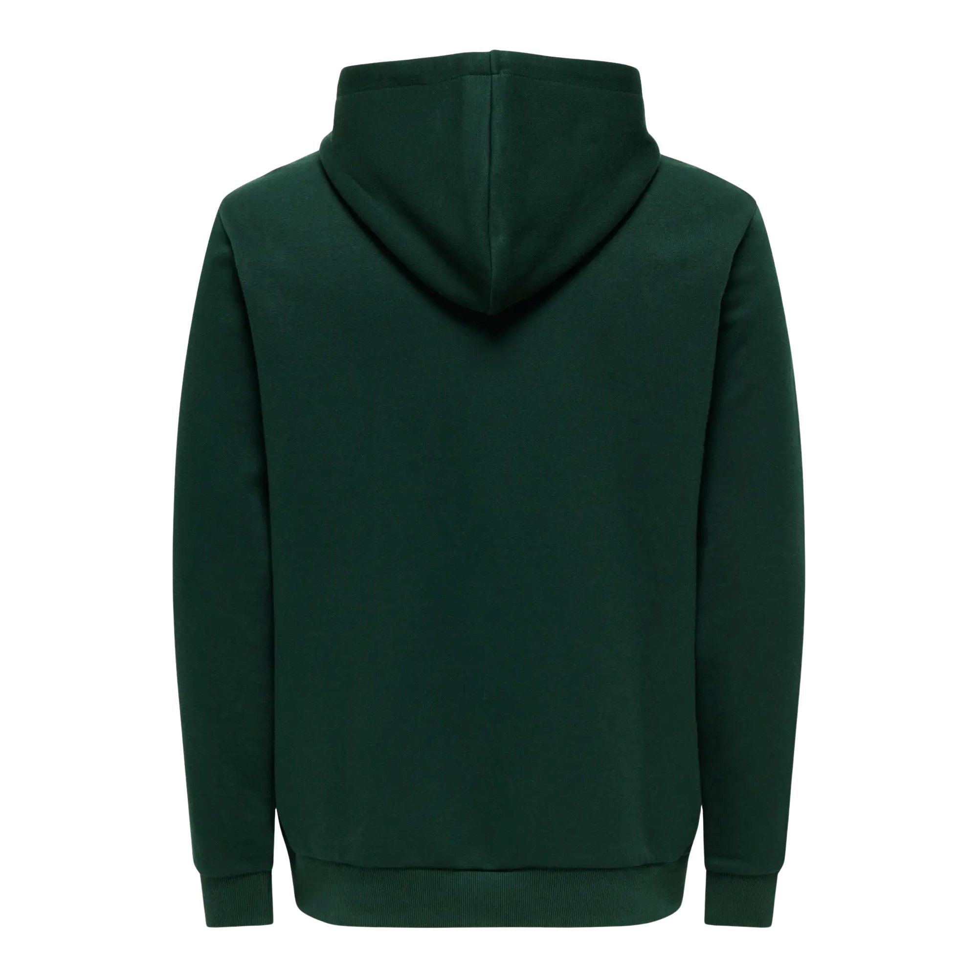 Only & Sons Ceres Life Hoodie Heren