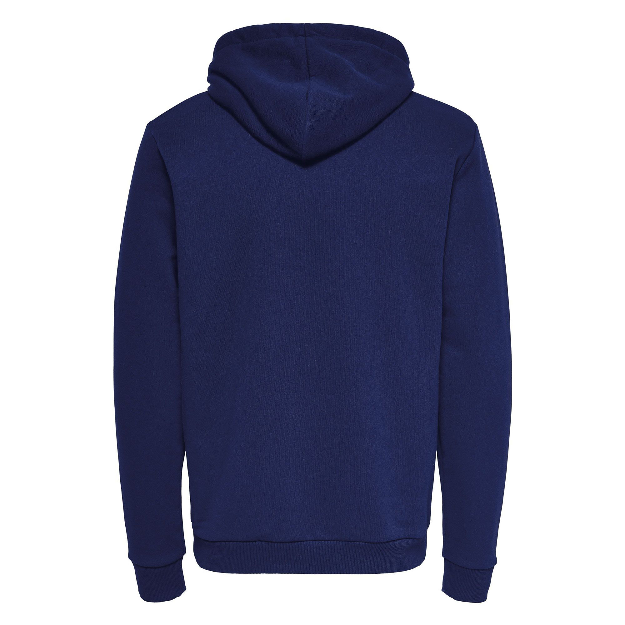 Only & Sons Ceres Life Hoodie Heren