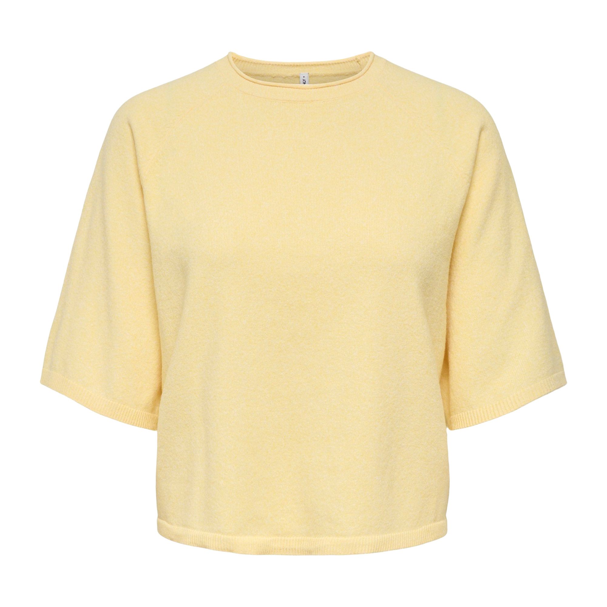 Only Loyal S/S Crew Shirt Dames