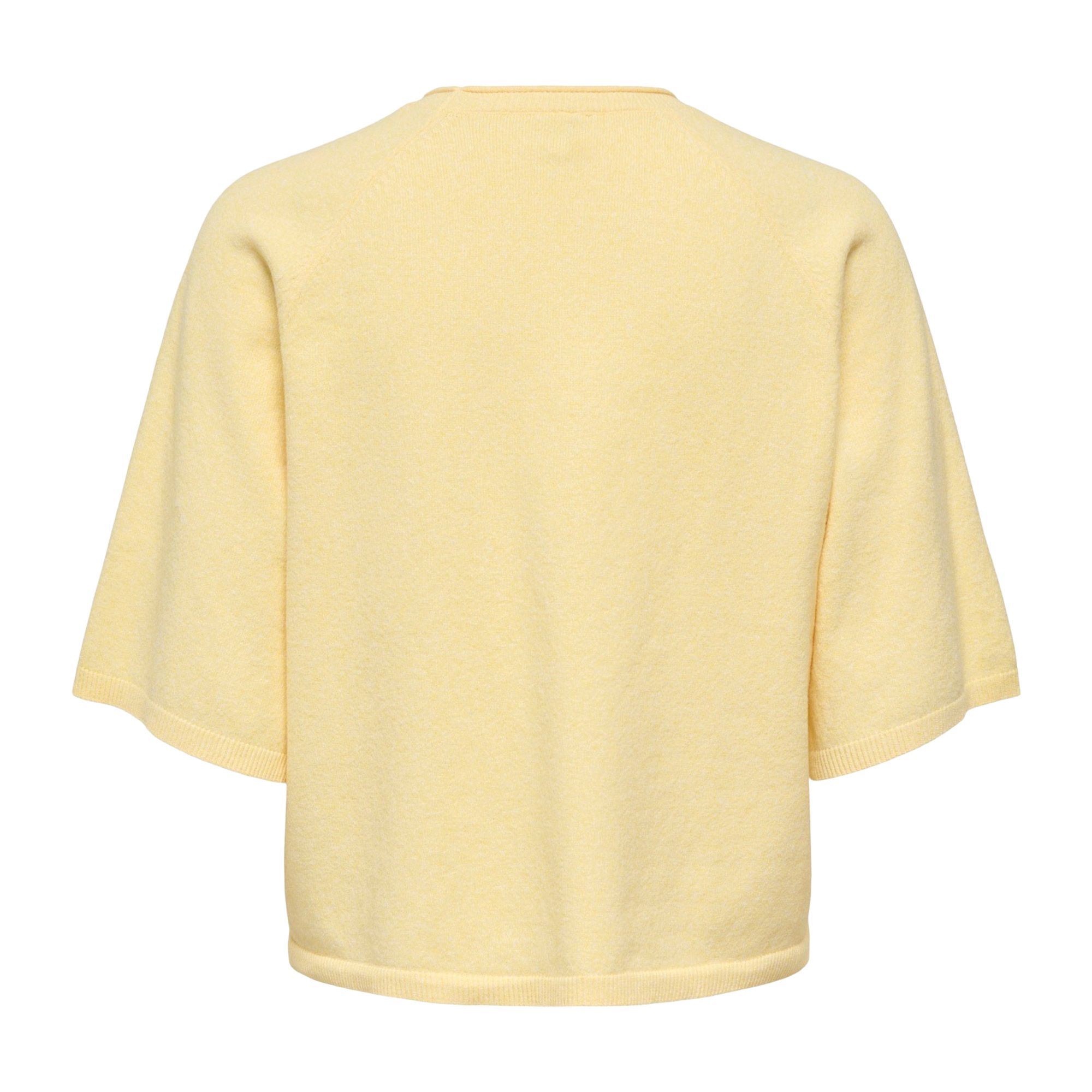 Only Loyal S/S Crew Shirt Dames