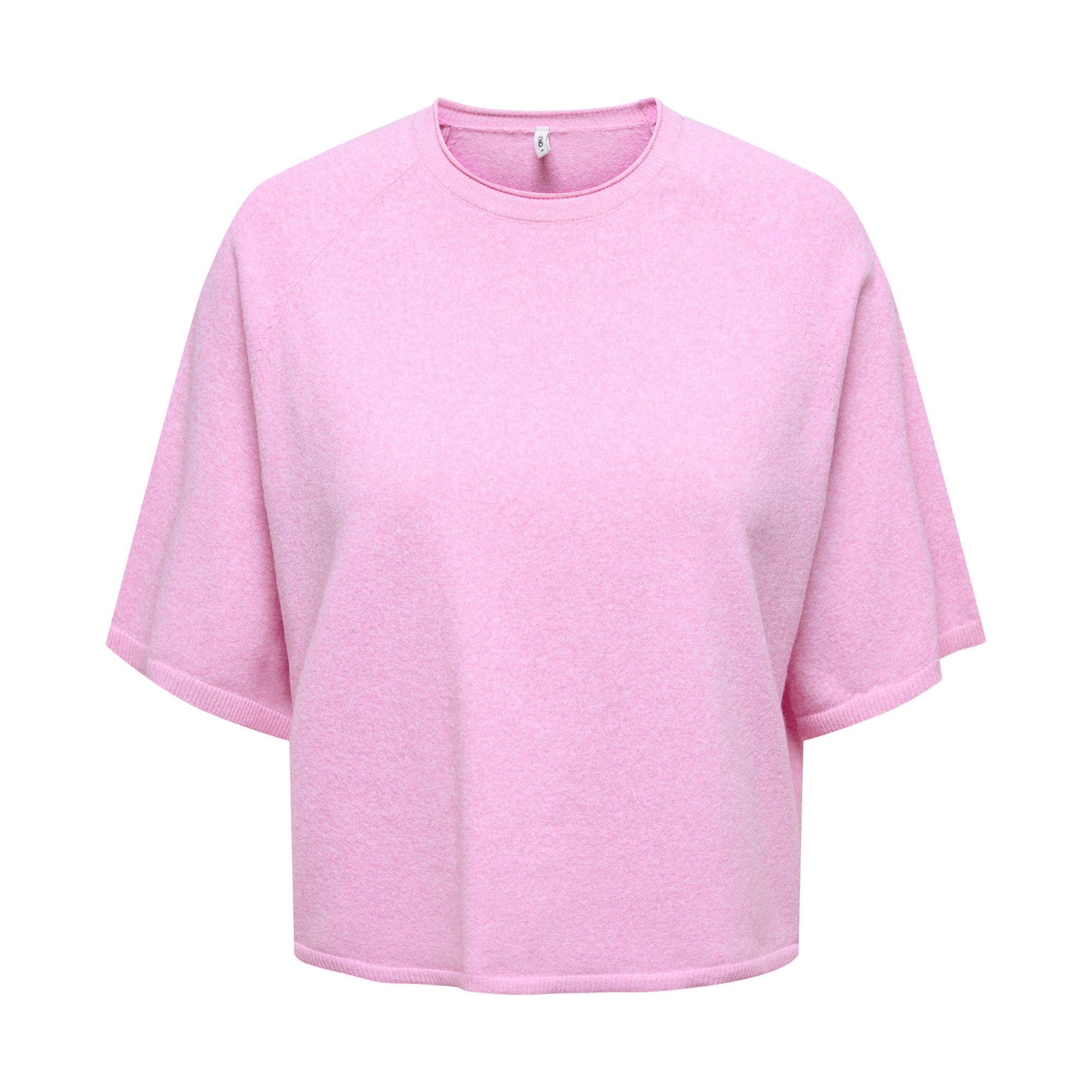 Only Loyal S/S Crew Shirt Dames