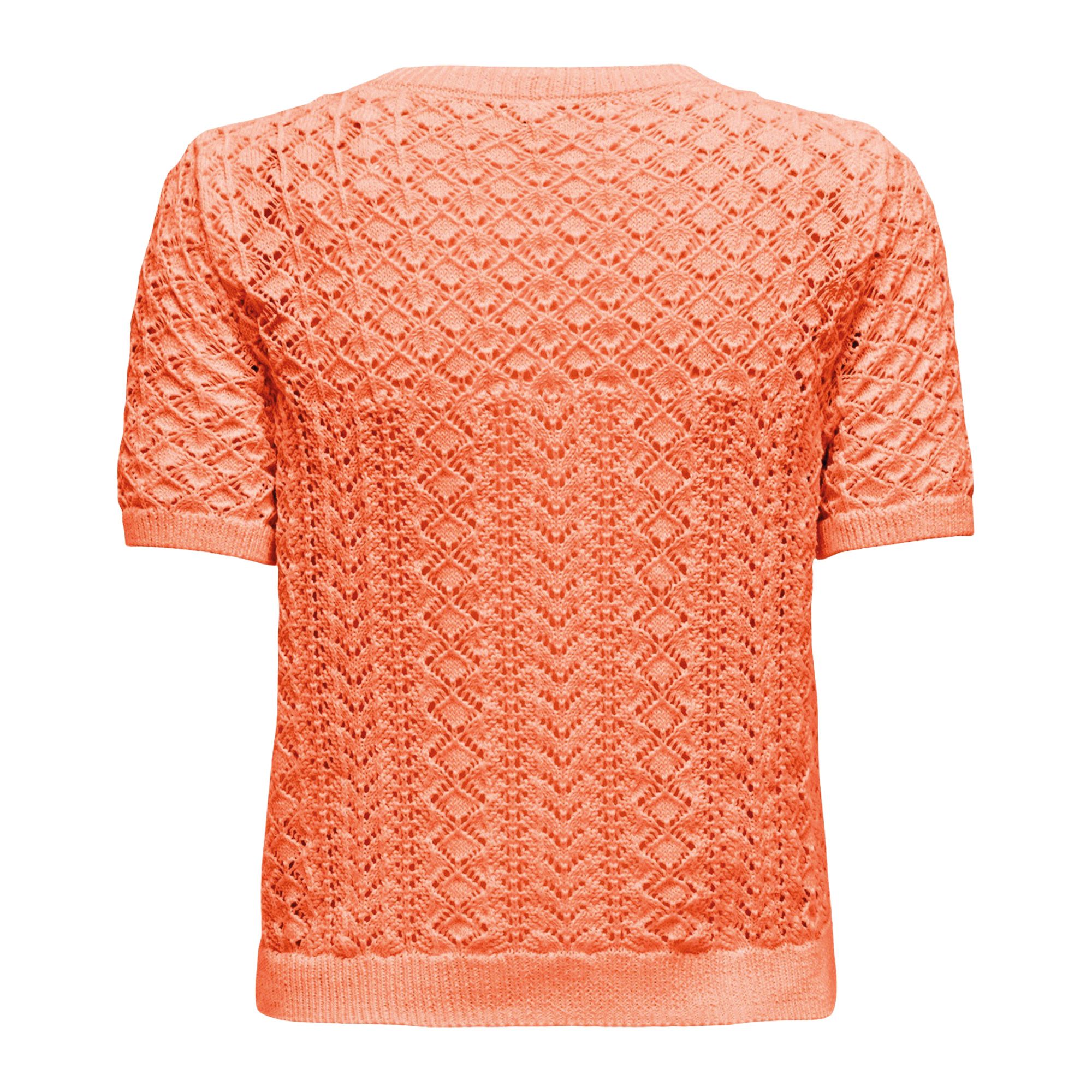Only Saga Life Knitted Crew Shirt Dames