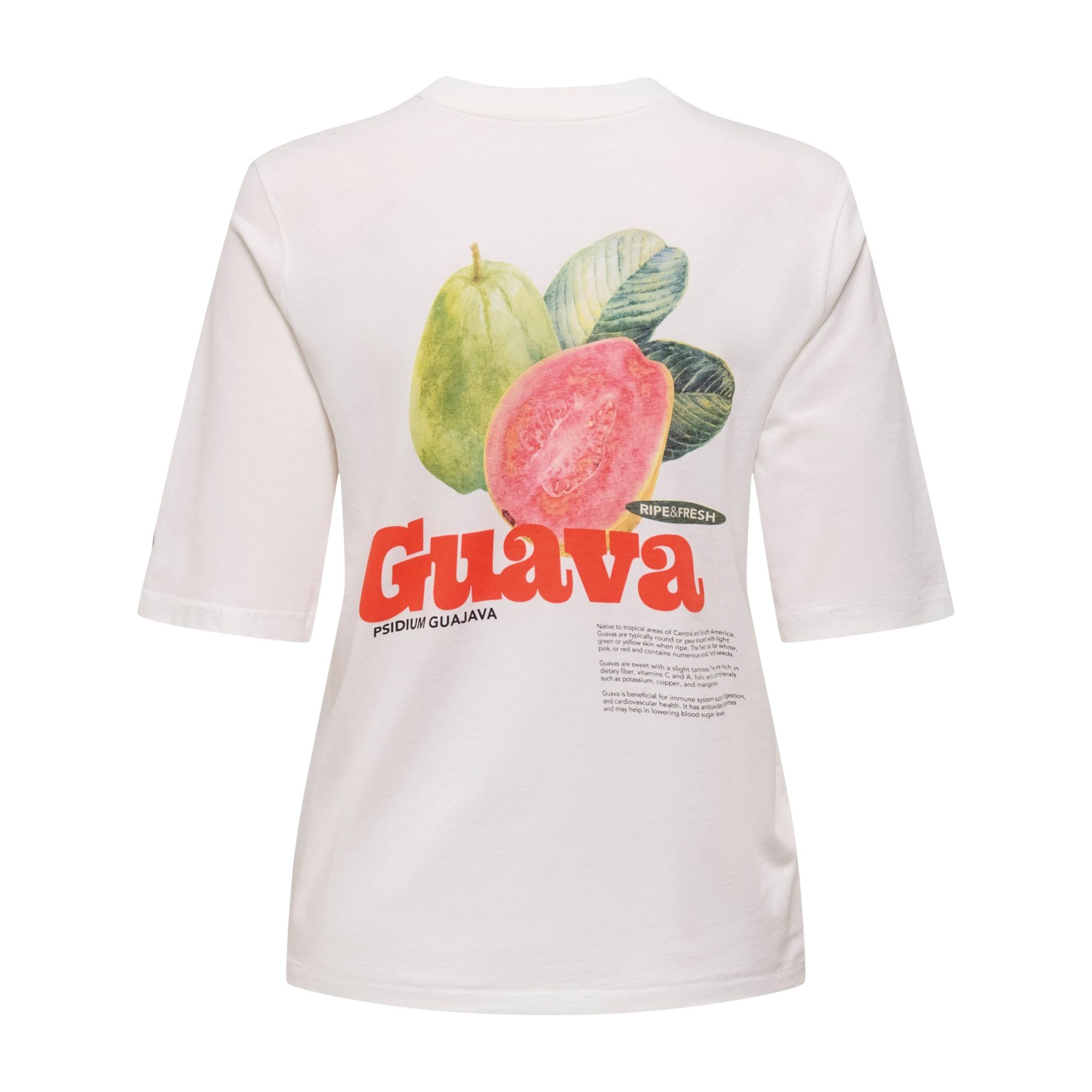 Only Phoebe Fresh Top Shirt Dames