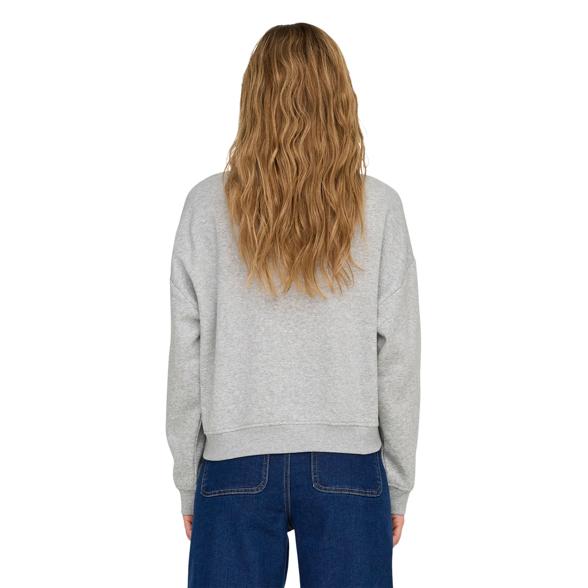 Only State Sweater Dames