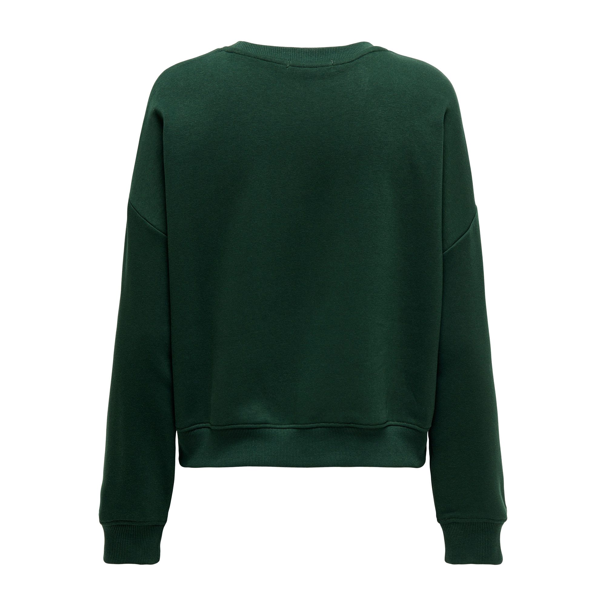 Only State Sweater Dames