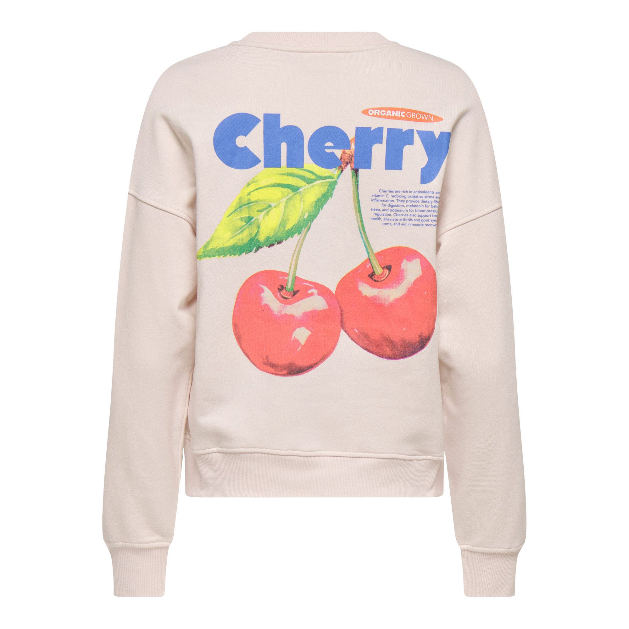 Seul le pull Philea Fruit Dames