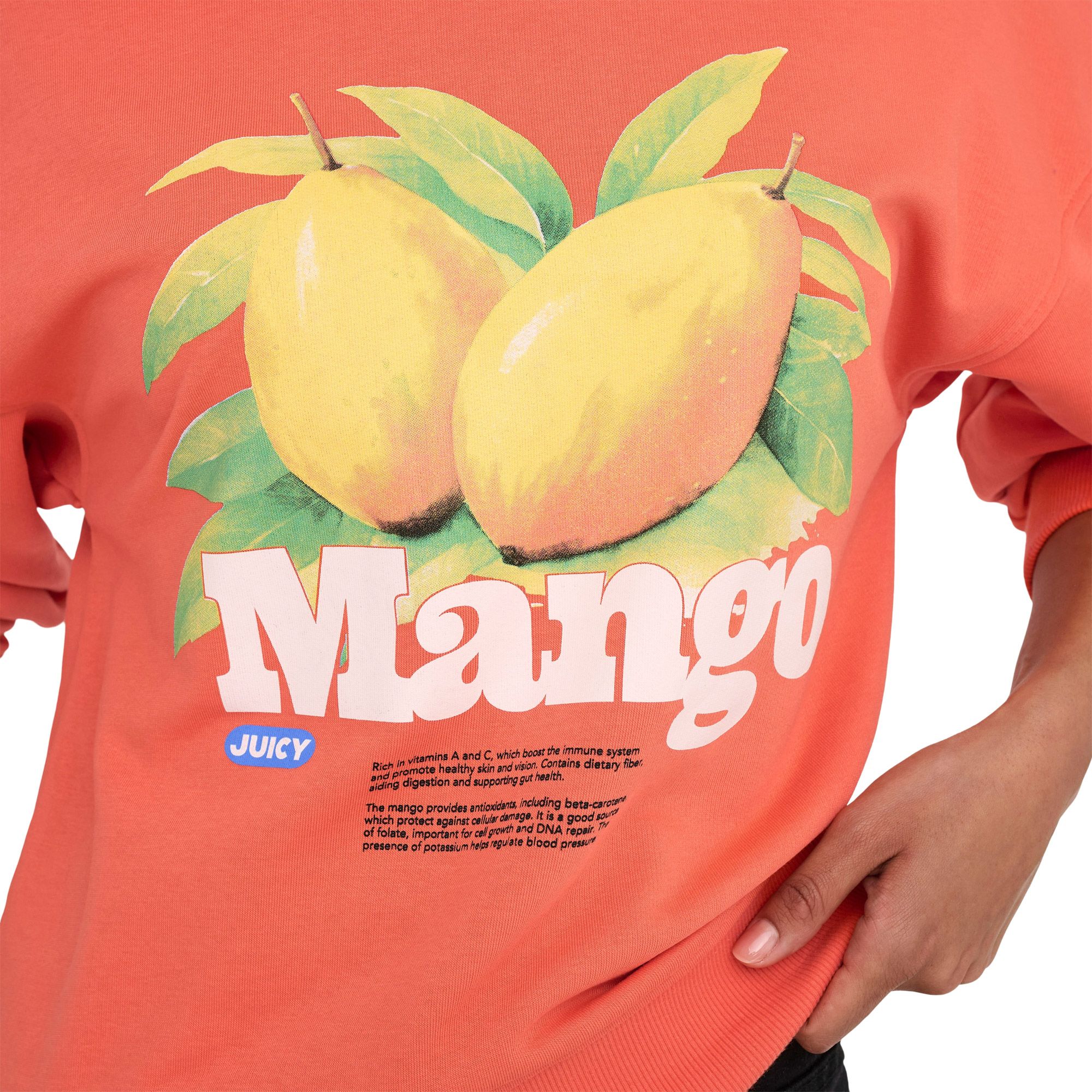 Only Philea Fruit Sweater Dames