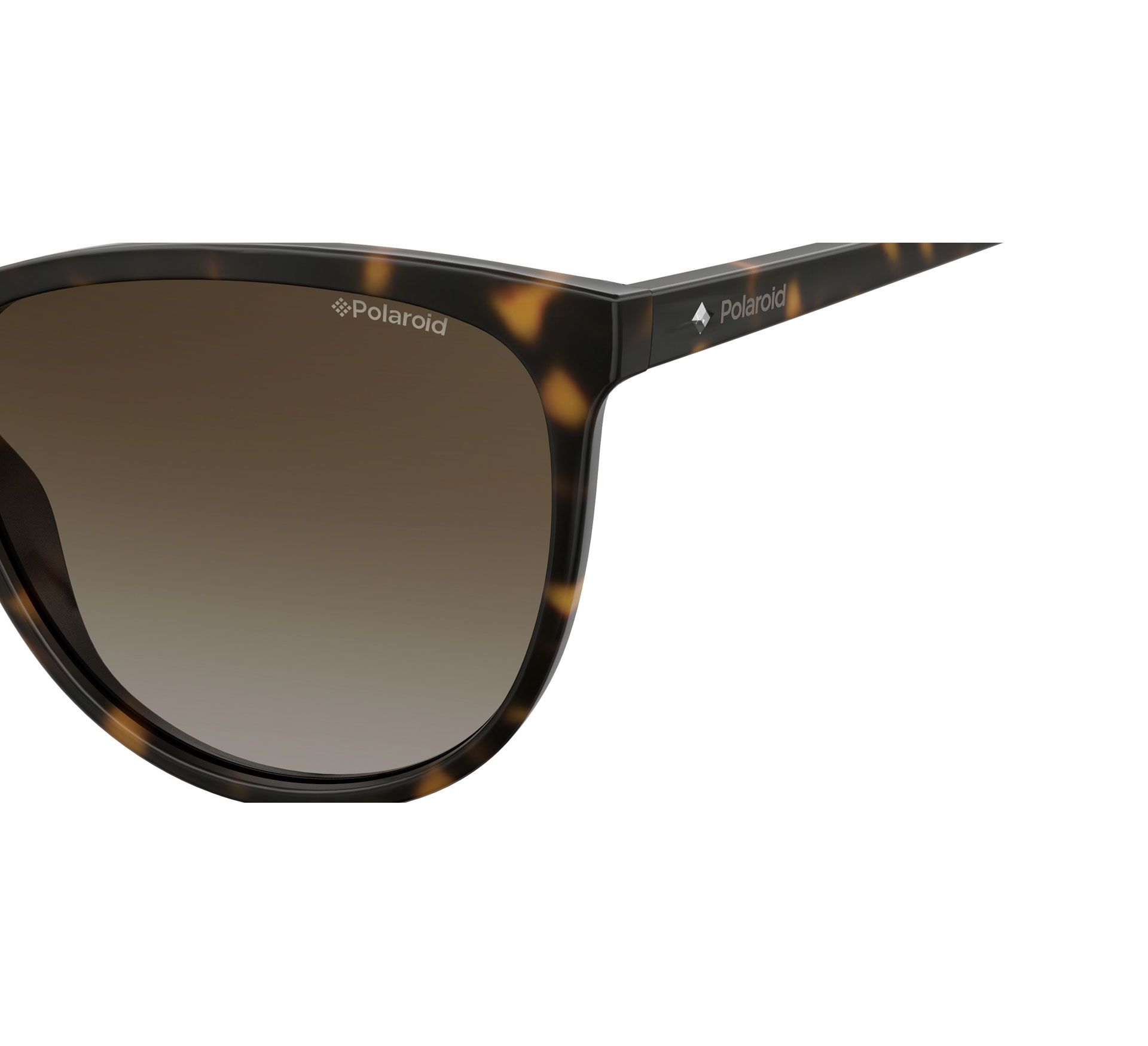 Polaroid Sunglasses PLD4066