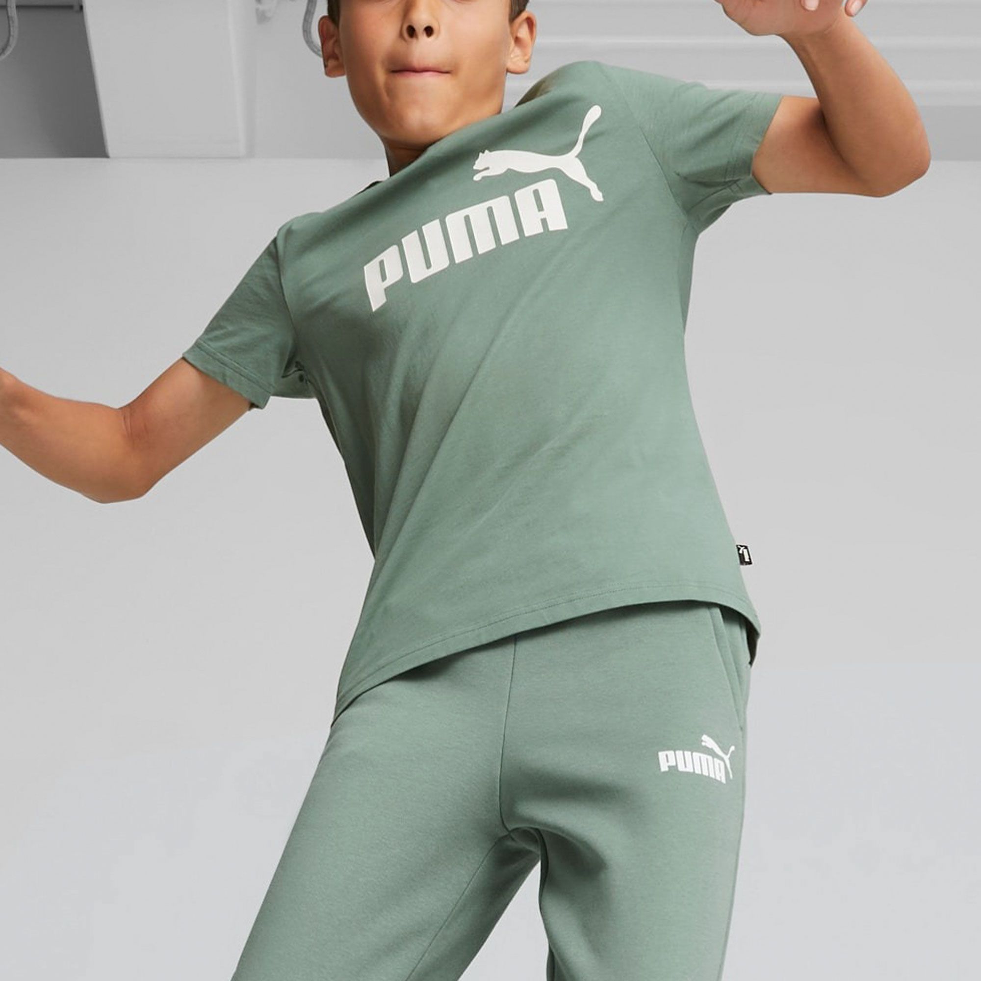 Puma Essential Logo Shirt Junior