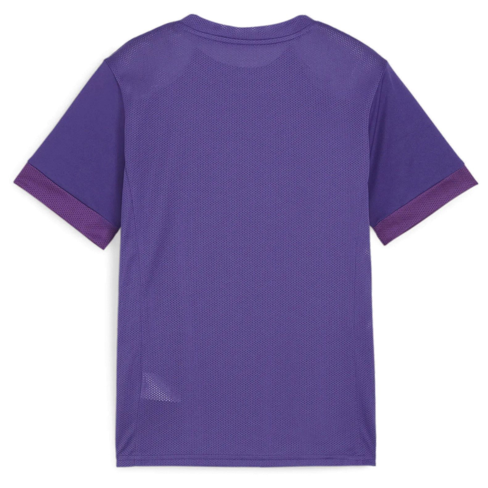 Puma TeamGOAL Matchday Shirt junior