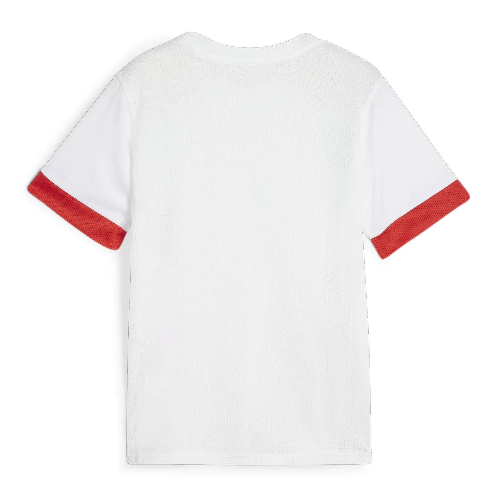 Puma TeamGOAL Matchday Shirt junior
