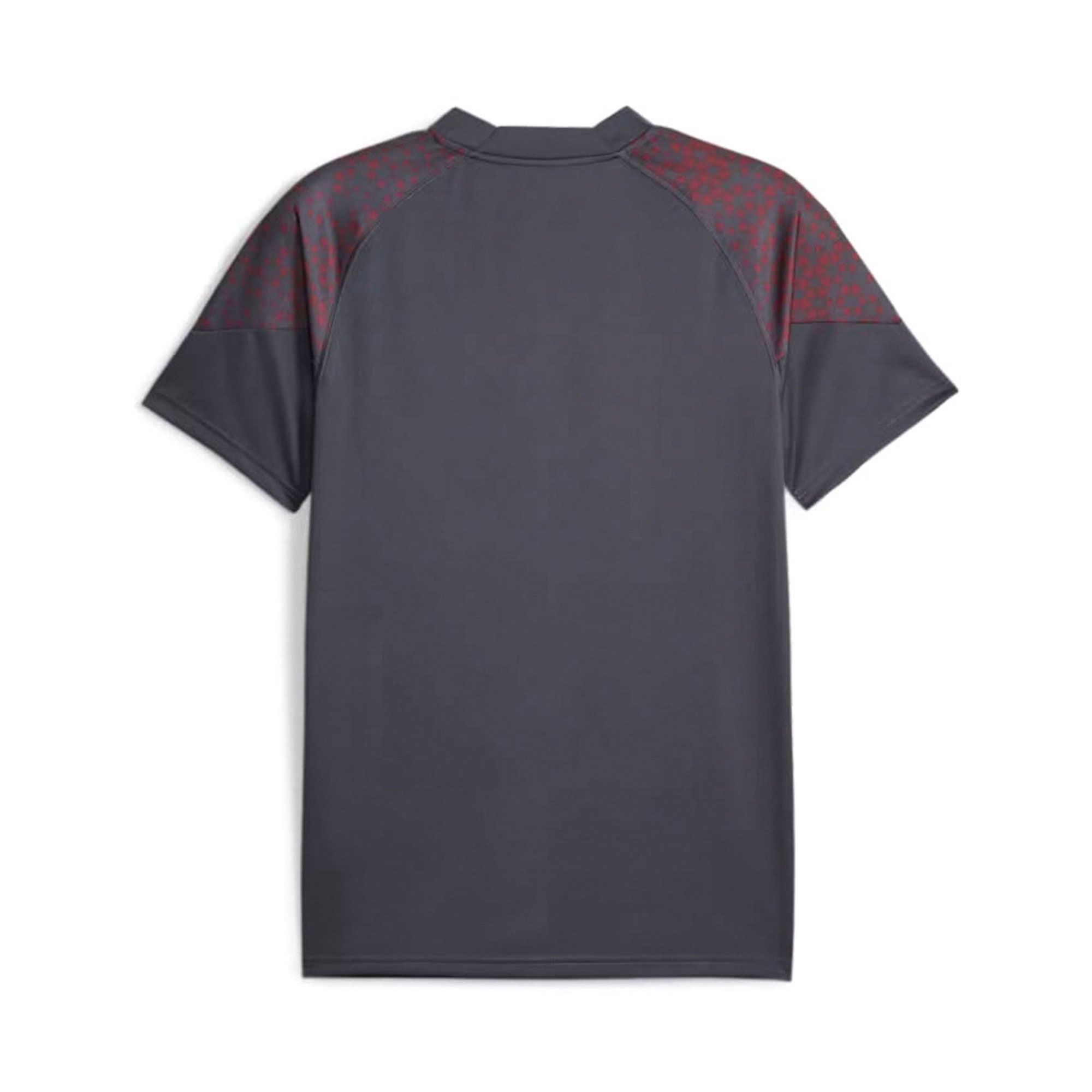 Puma Manchester City FC Shirt Heren