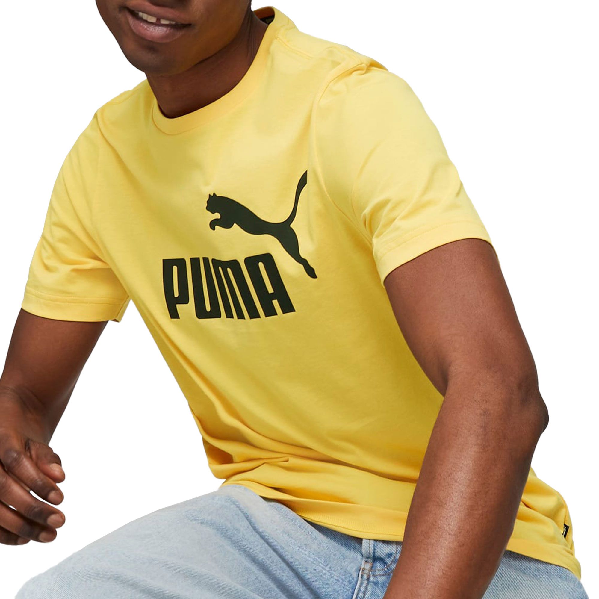 Puma Essentials Logo Shirt Heren