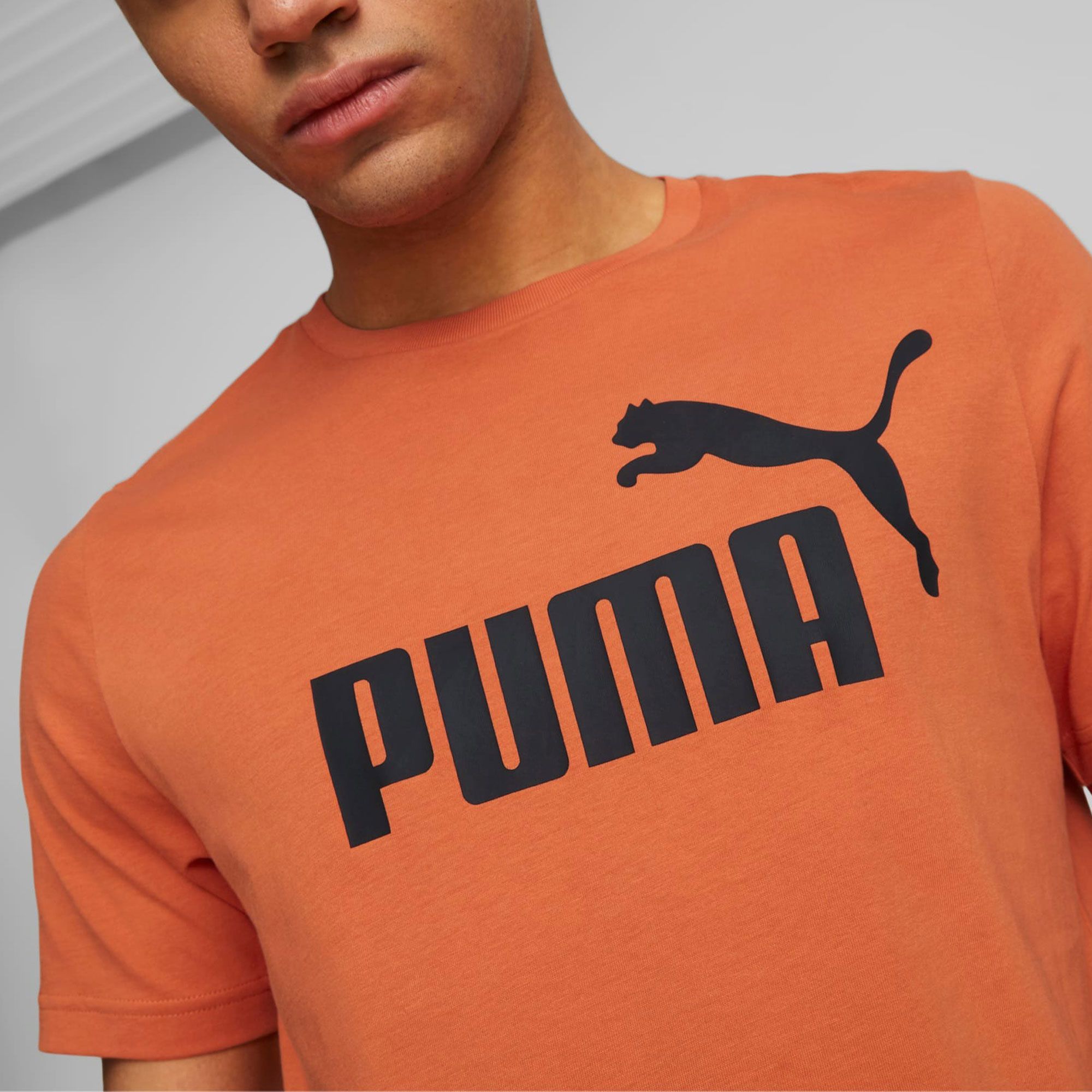 Puma Essentials Logo Shirt Heren