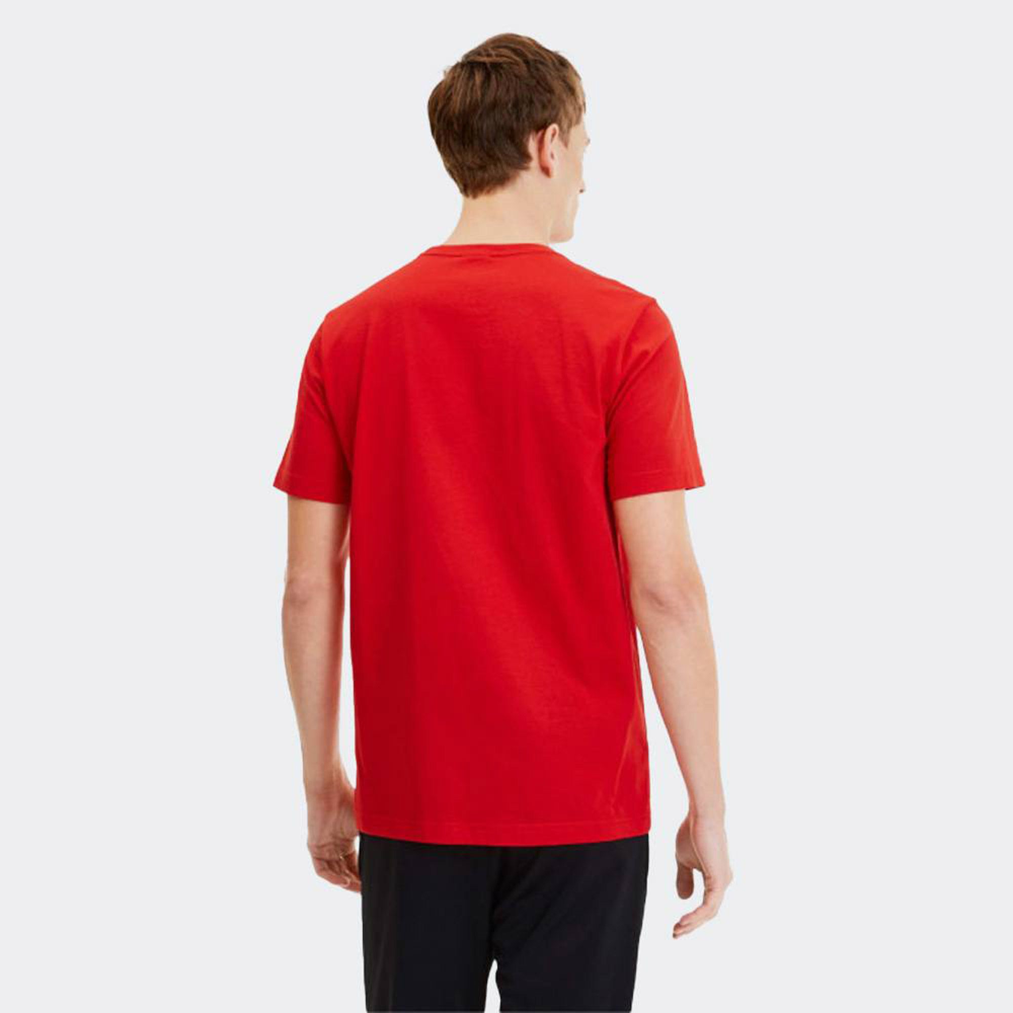 Shirt Puma teamGOAL Hommes (2-pack)
