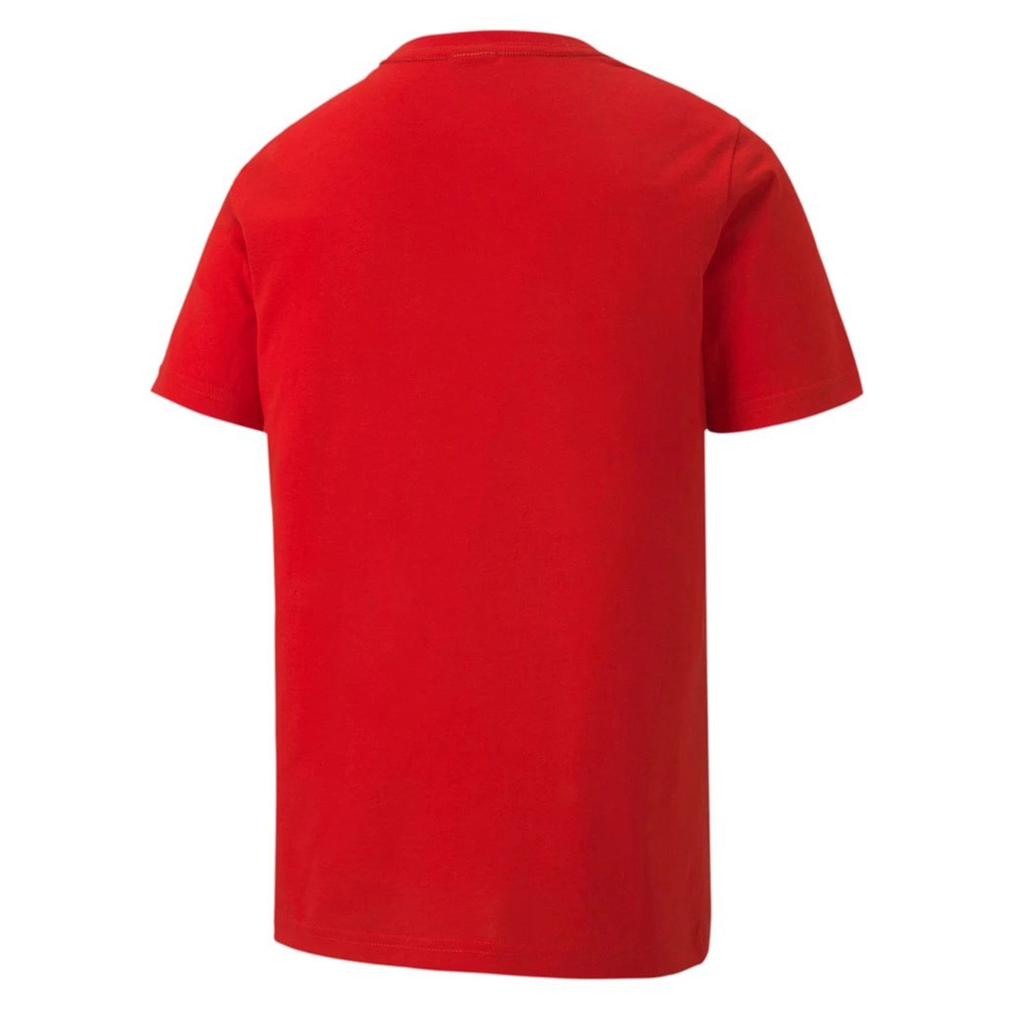 Puma teamGOAL Shirt Junior (2-pack)