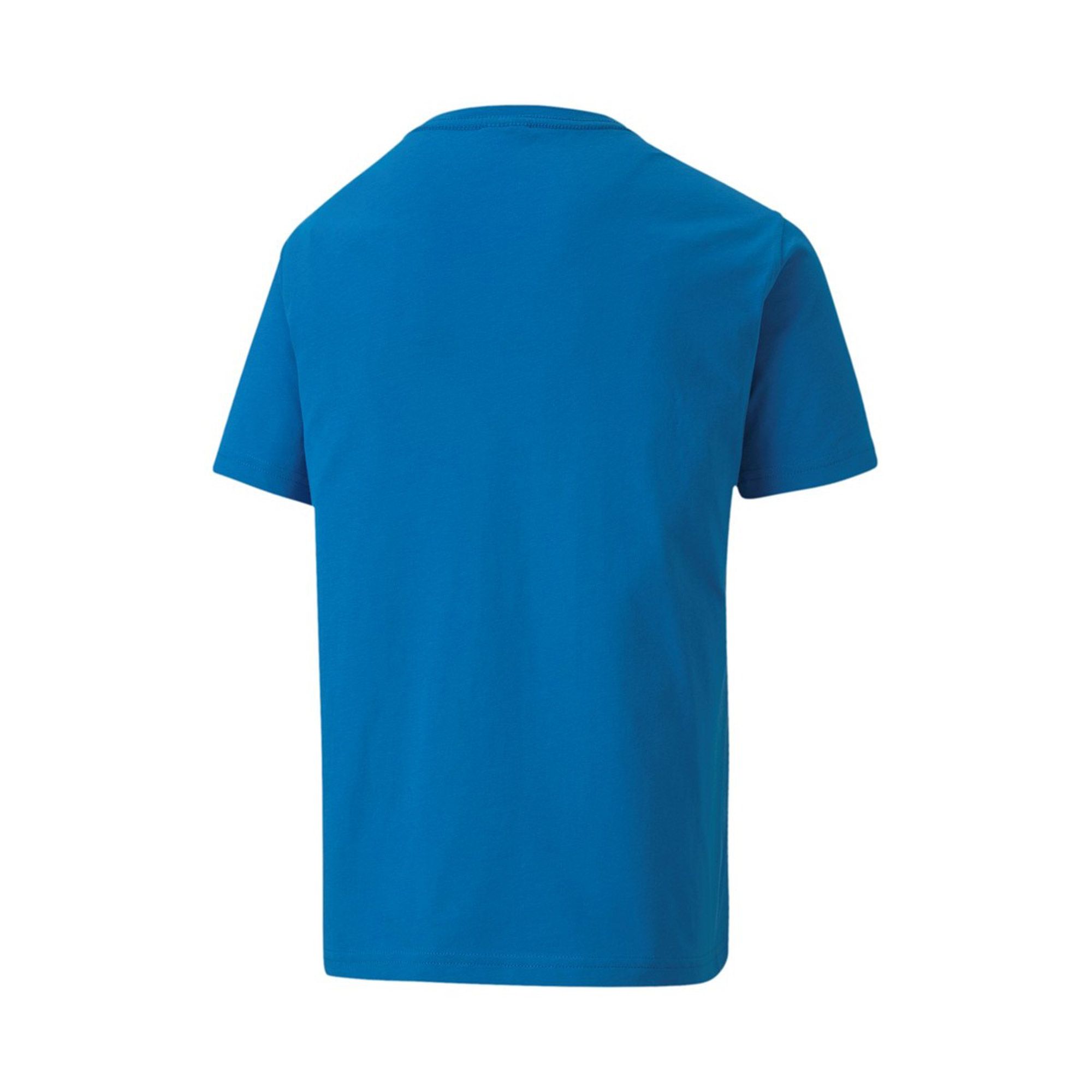 Puma teamGOAL Shirt Junior (2-pack)
