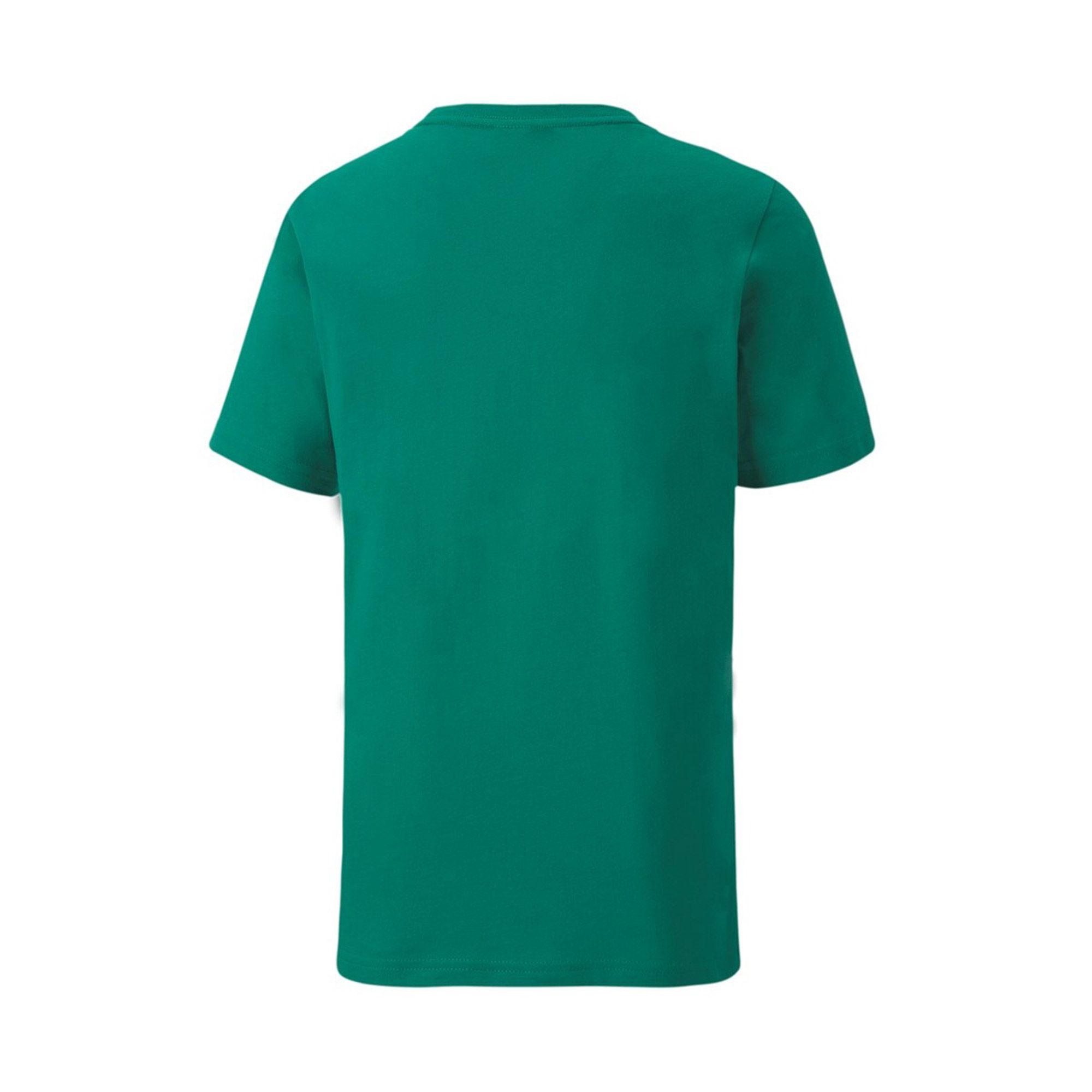 Puma teamGOAL Shirt Junior (2-pack)
