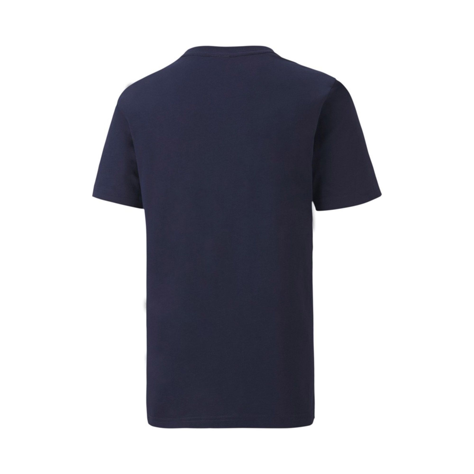 Puma teamGOAL Shirt Junior (2-pack)