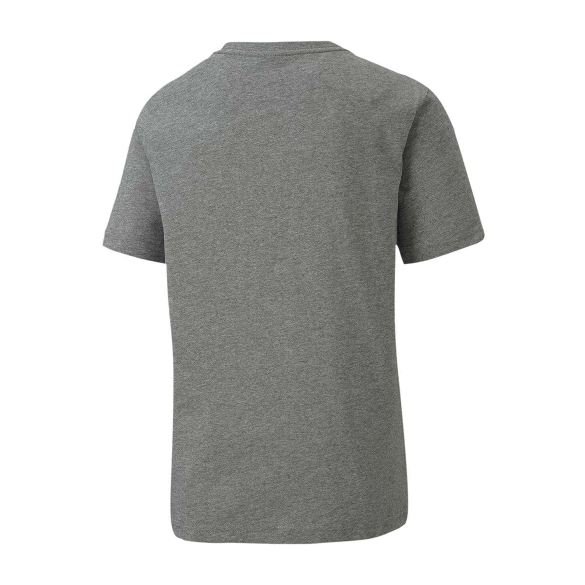 Puma teamGOAL Shirt Junior