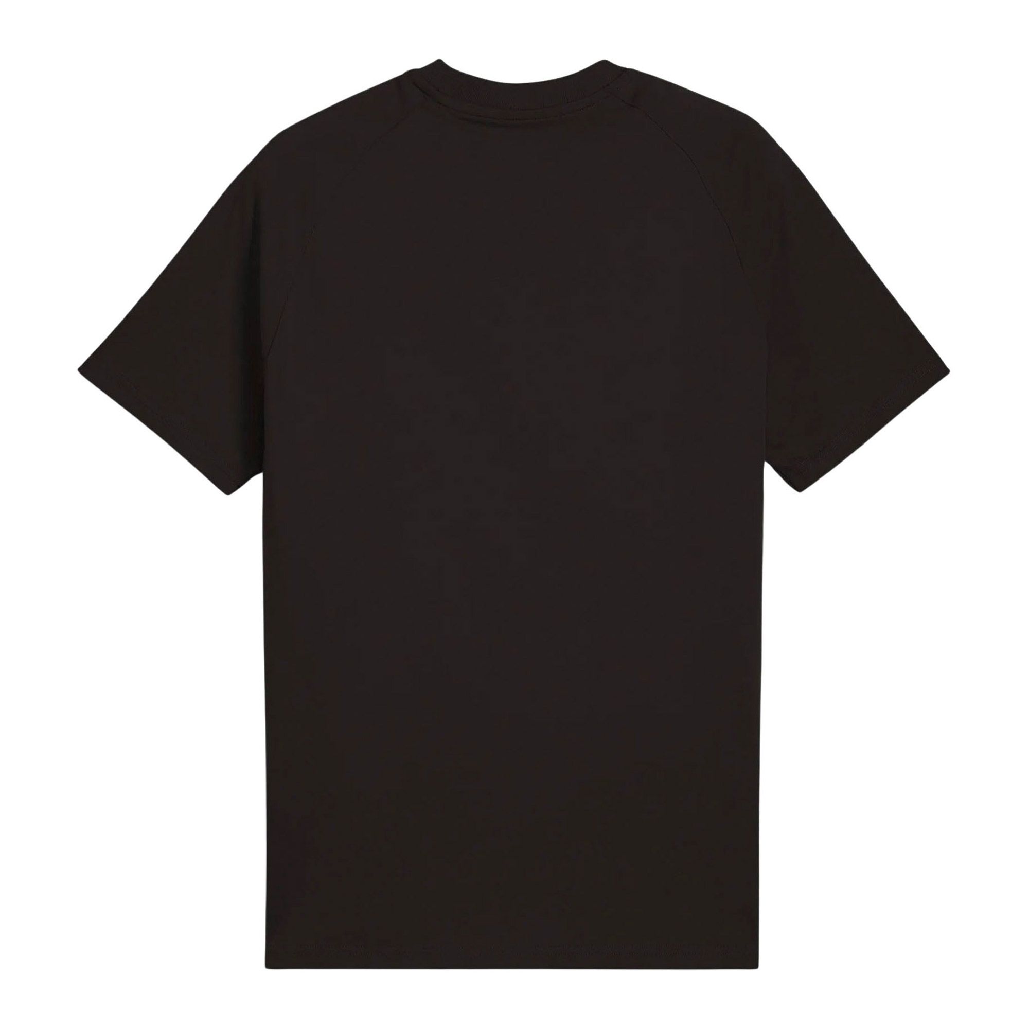 Shirt Puma Pumatech Hommes