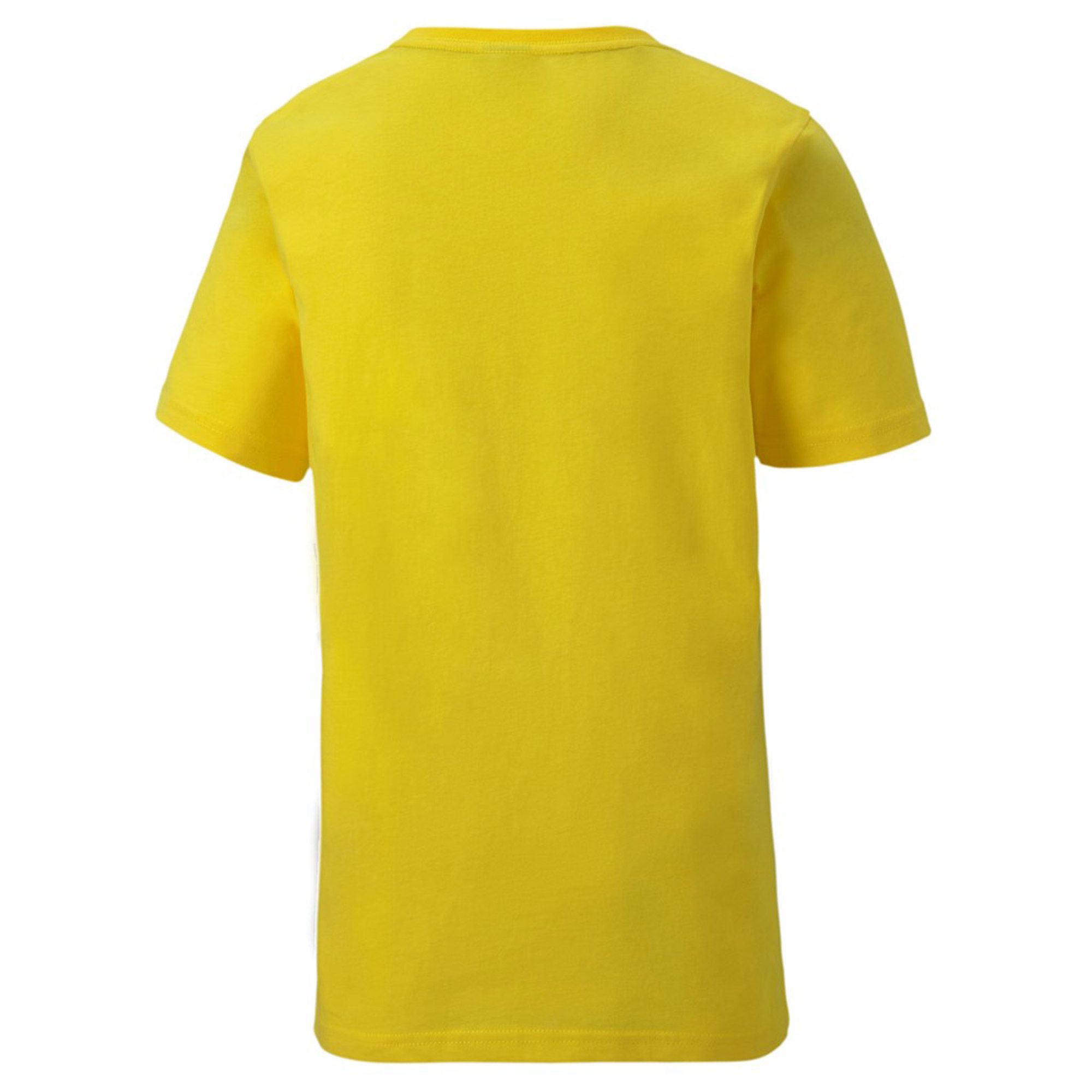 Puma teamGOAL Shirt Junior (3-pack)