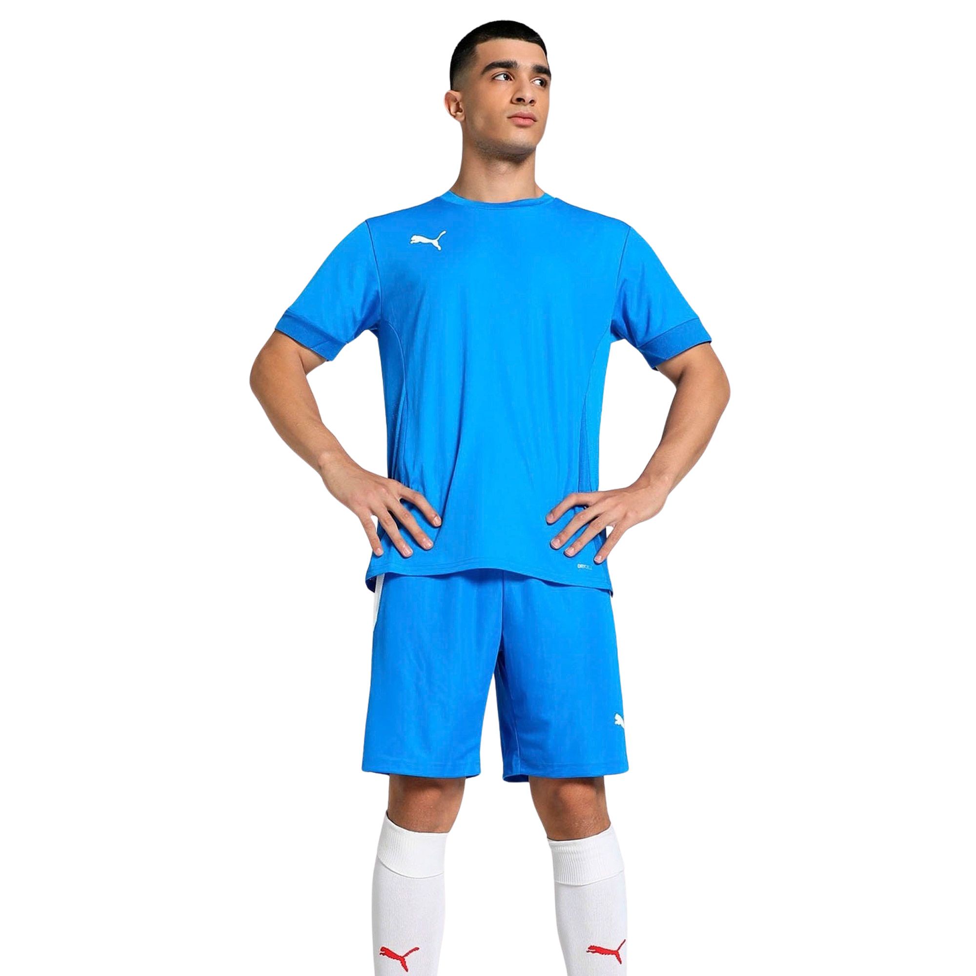Puma TeamGOAL Matchday Shirt Heren