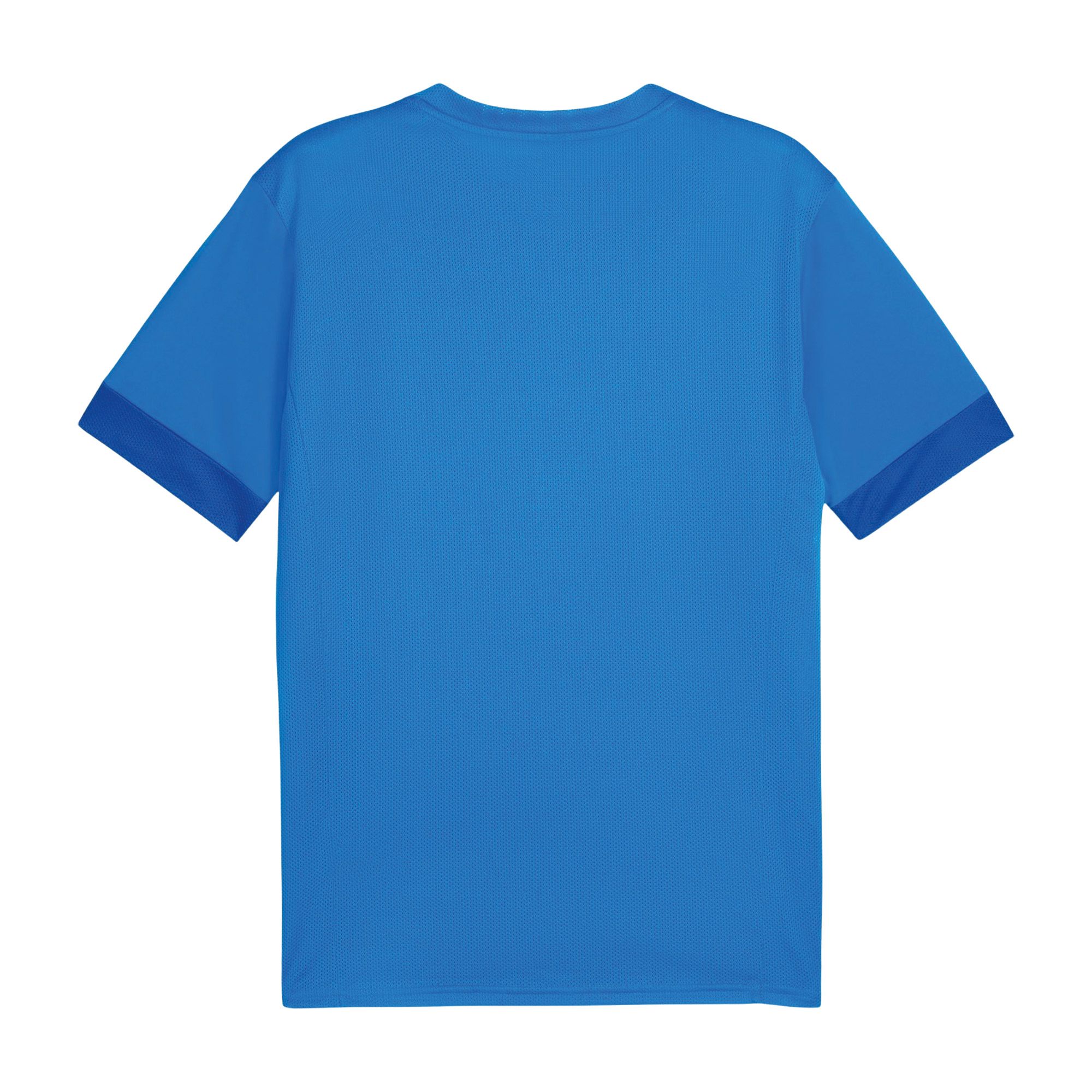 Puma TeamGOAL Matchday Shirt Heren
