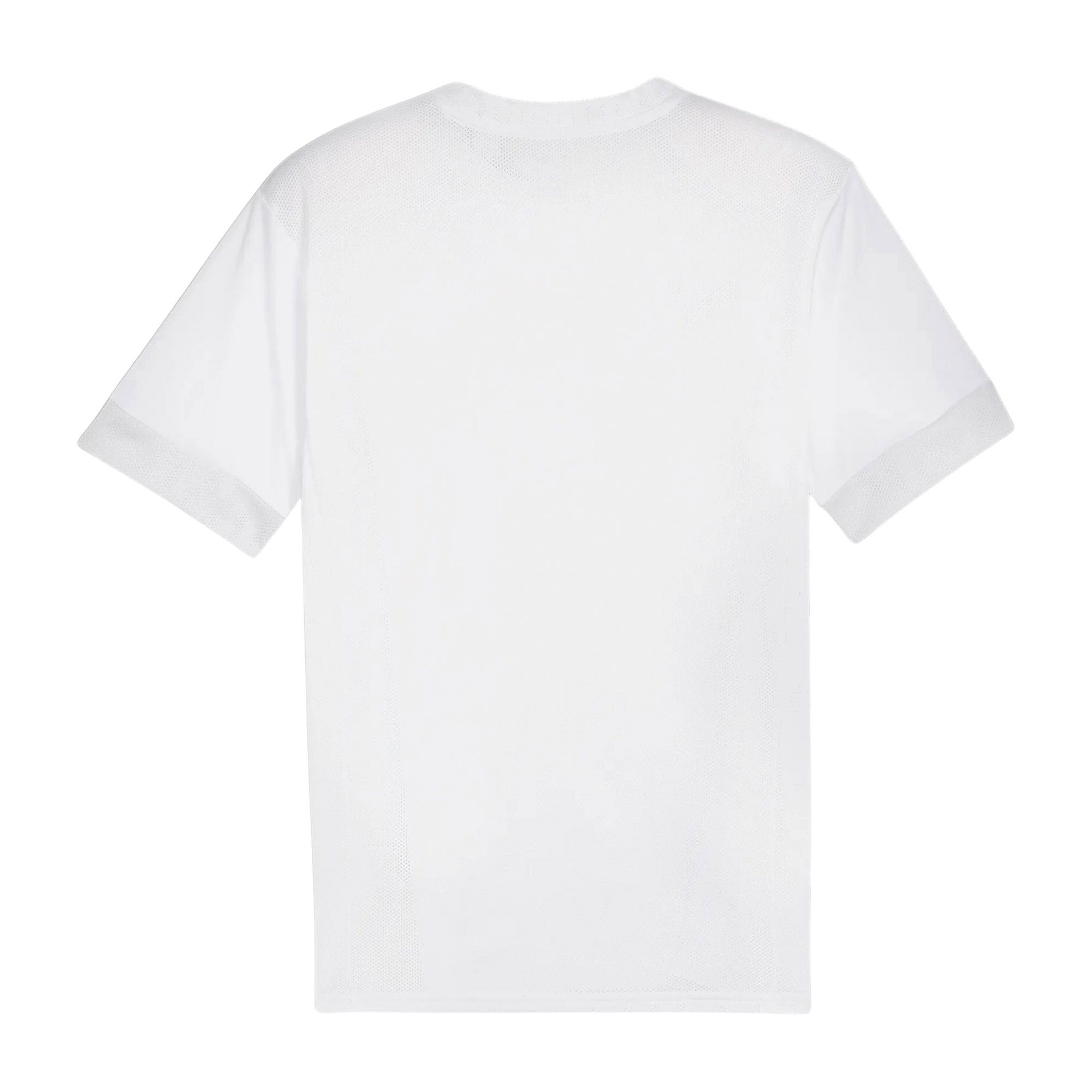 Puma TeamGOAL Matchday Shirt Heren