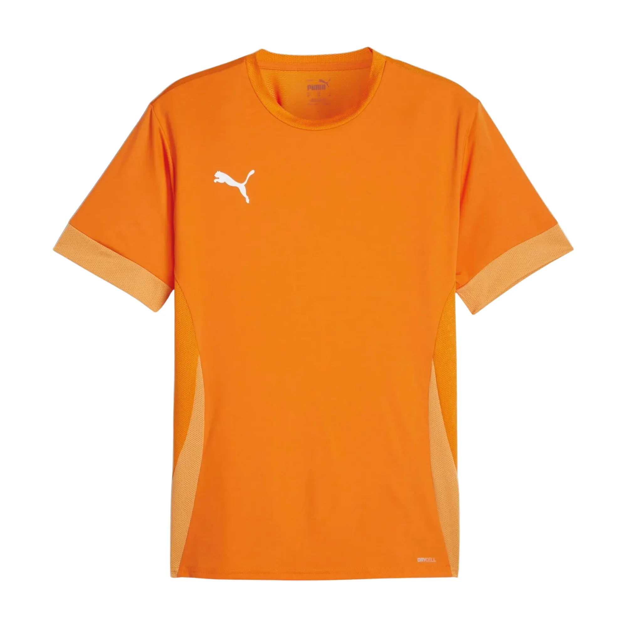 Puma TeamGOAL Matchday Shirt Heren