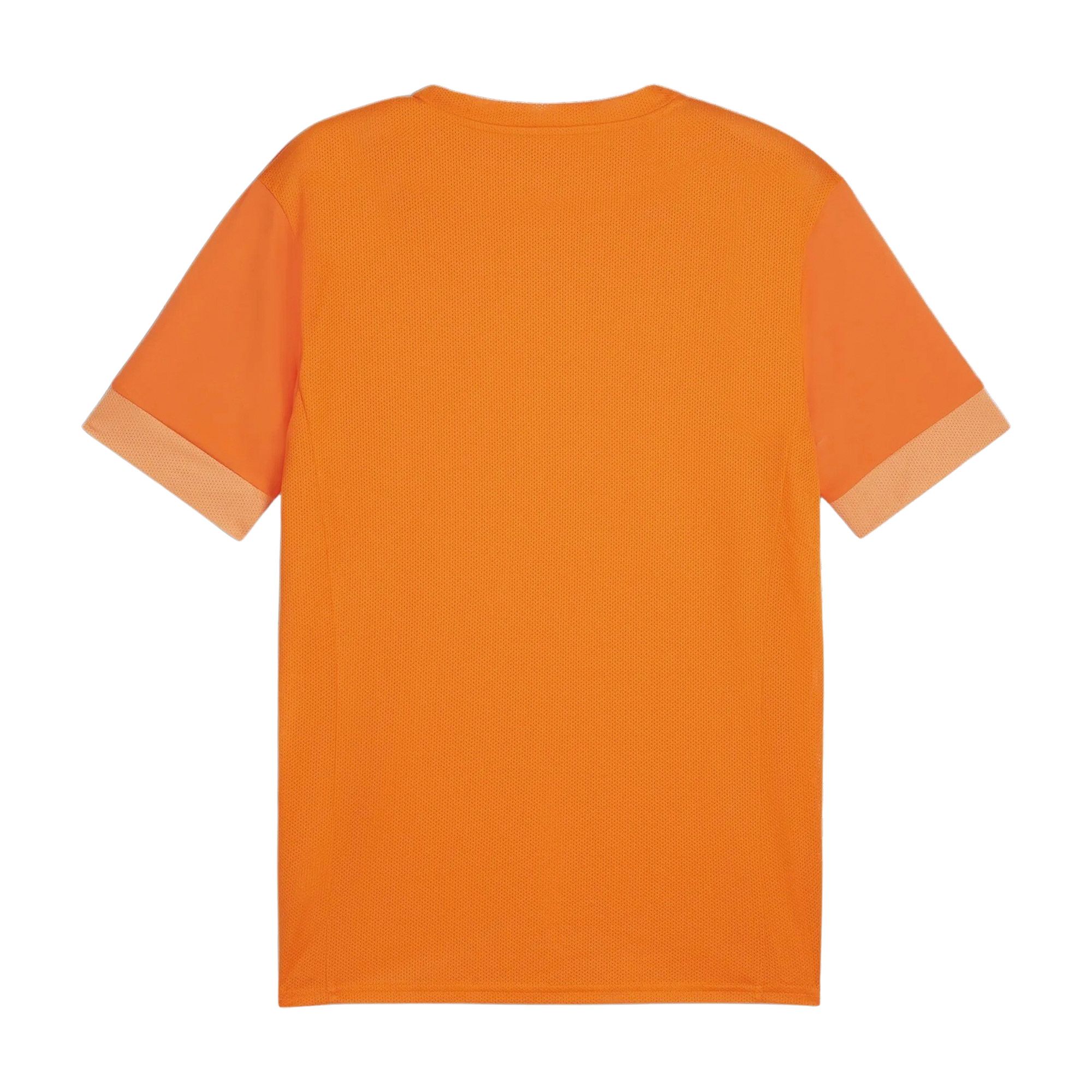 Puma TeamGOAL Matchday Shirt Heren