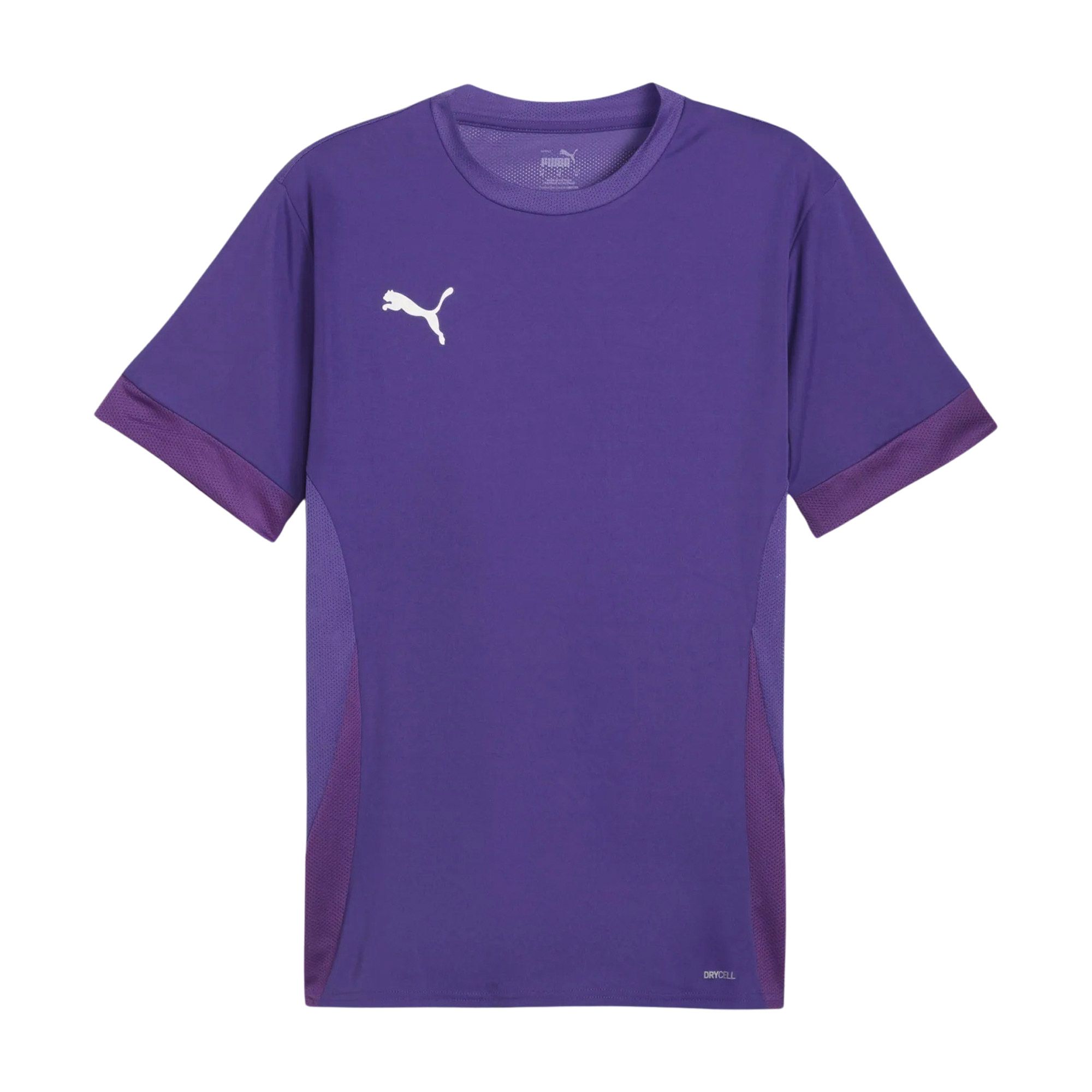 Puma TeamGOAL Matchday Shirt Heren