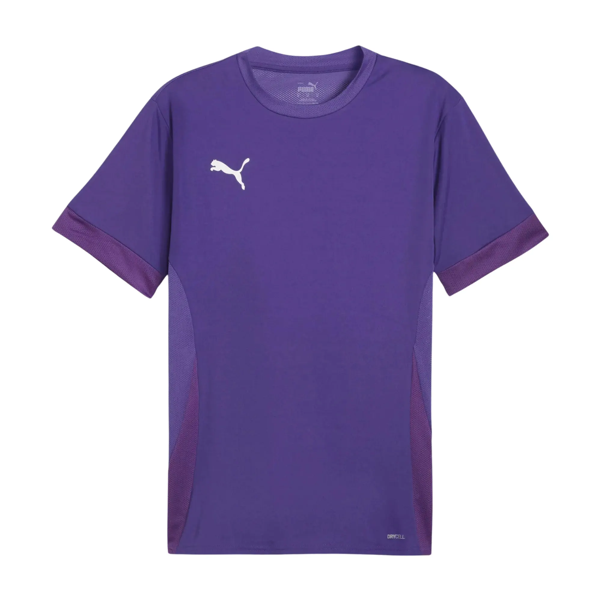 Puma TeamGOAL Matchday Shirt Heren