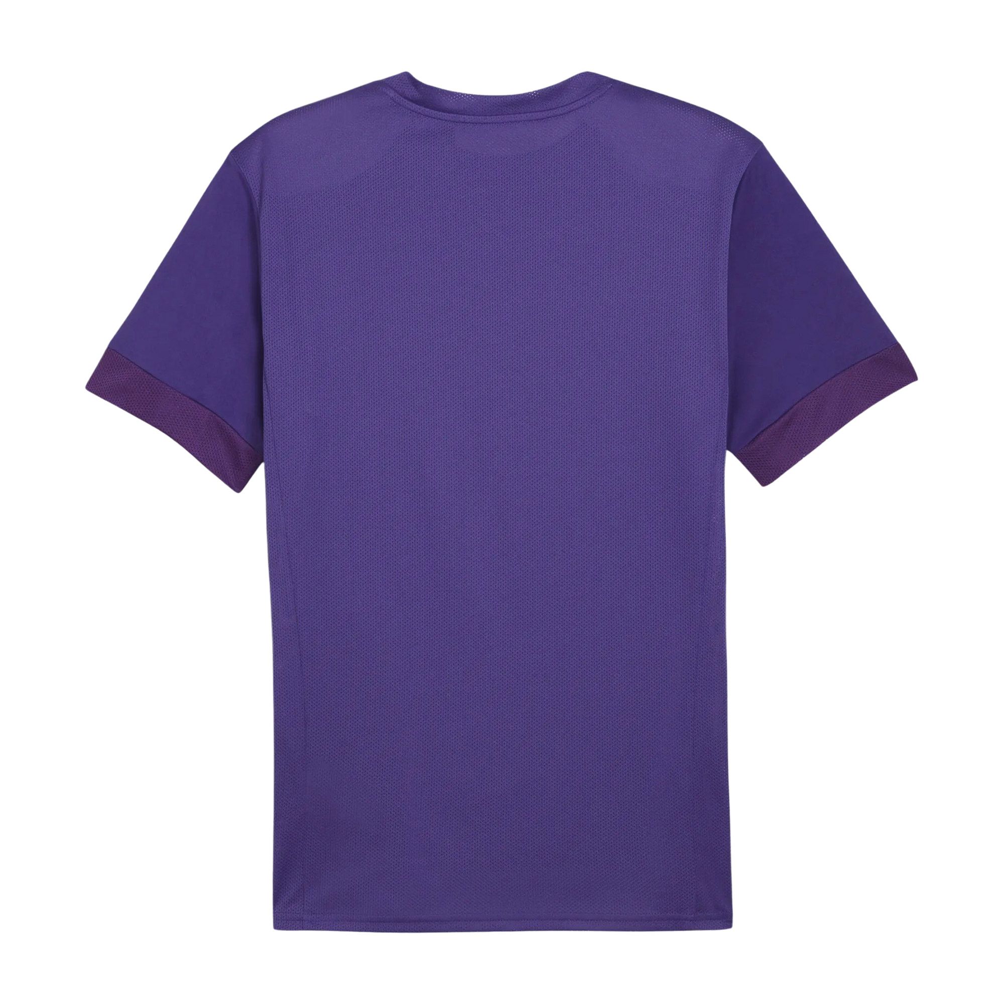 Puma TeamGOAL Matchday Shirt Heren