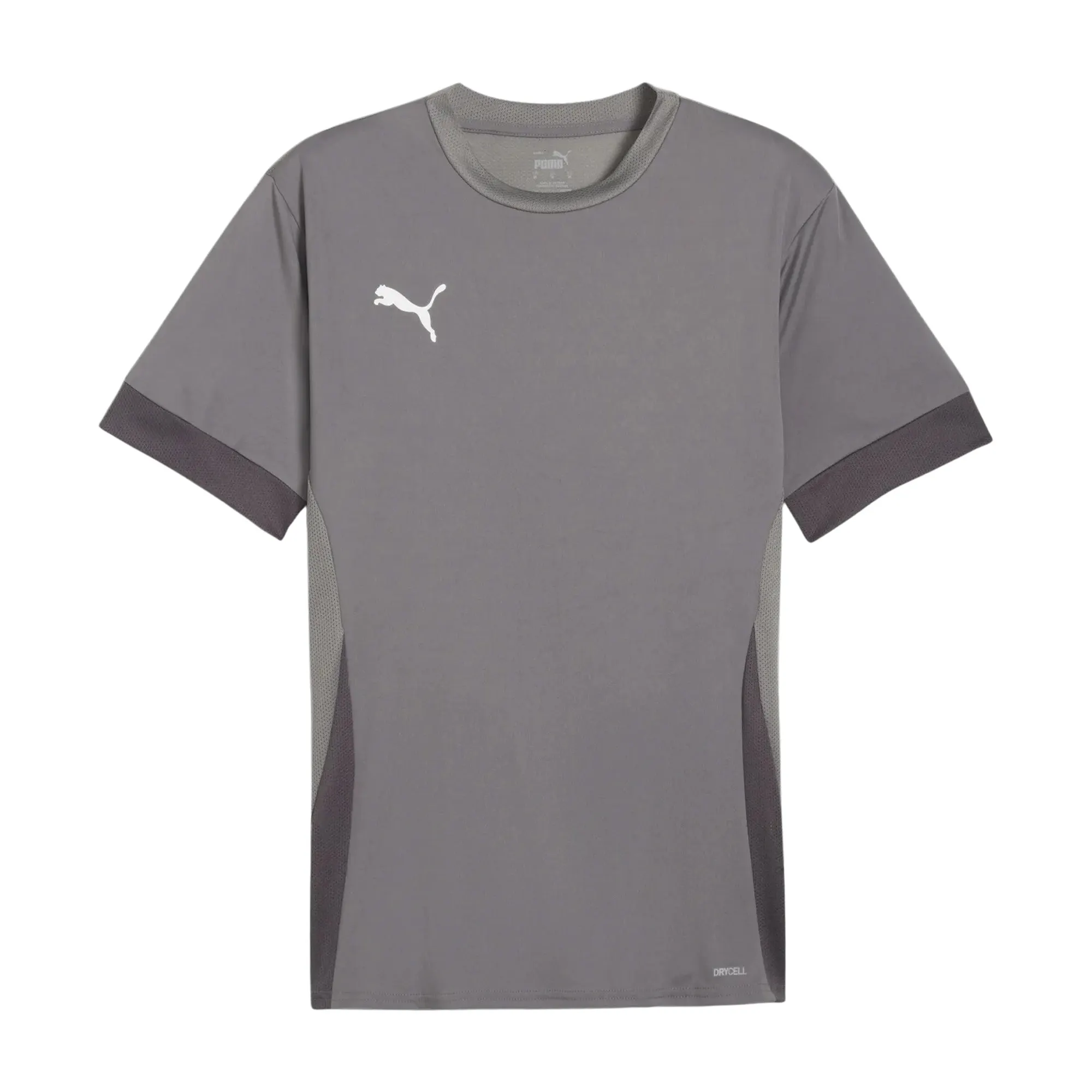Puma TeamGOAL Matchday Shirt Heren