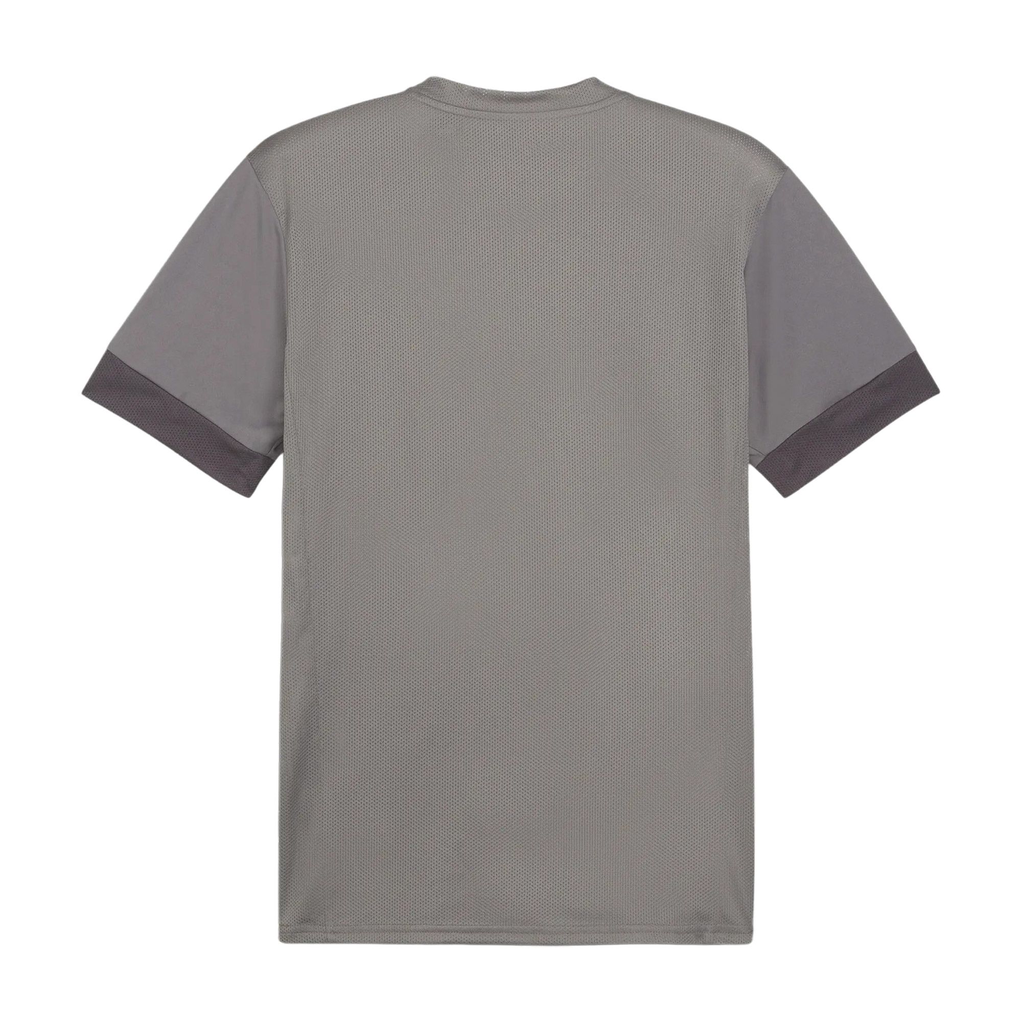 Puma TeamGOAL Matchday Shirt Heren