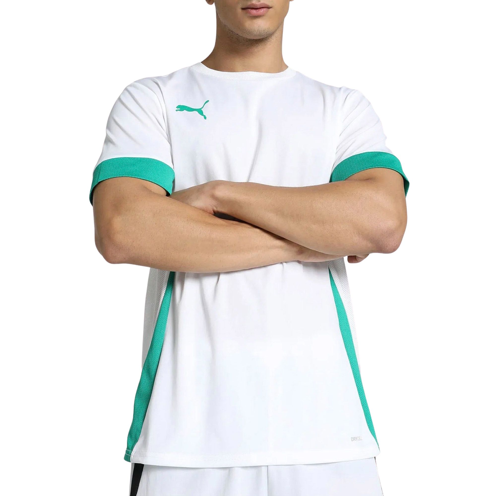 Puma TeamGOAL Matchday Shirt Heren